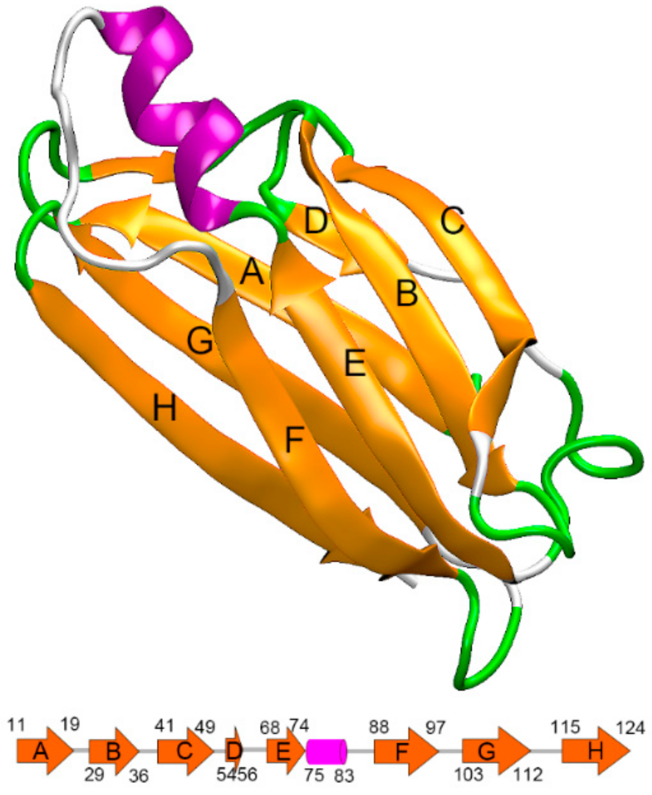 Unlocking The Code Of Life: The Primary Protein Monomer - u1u45ye