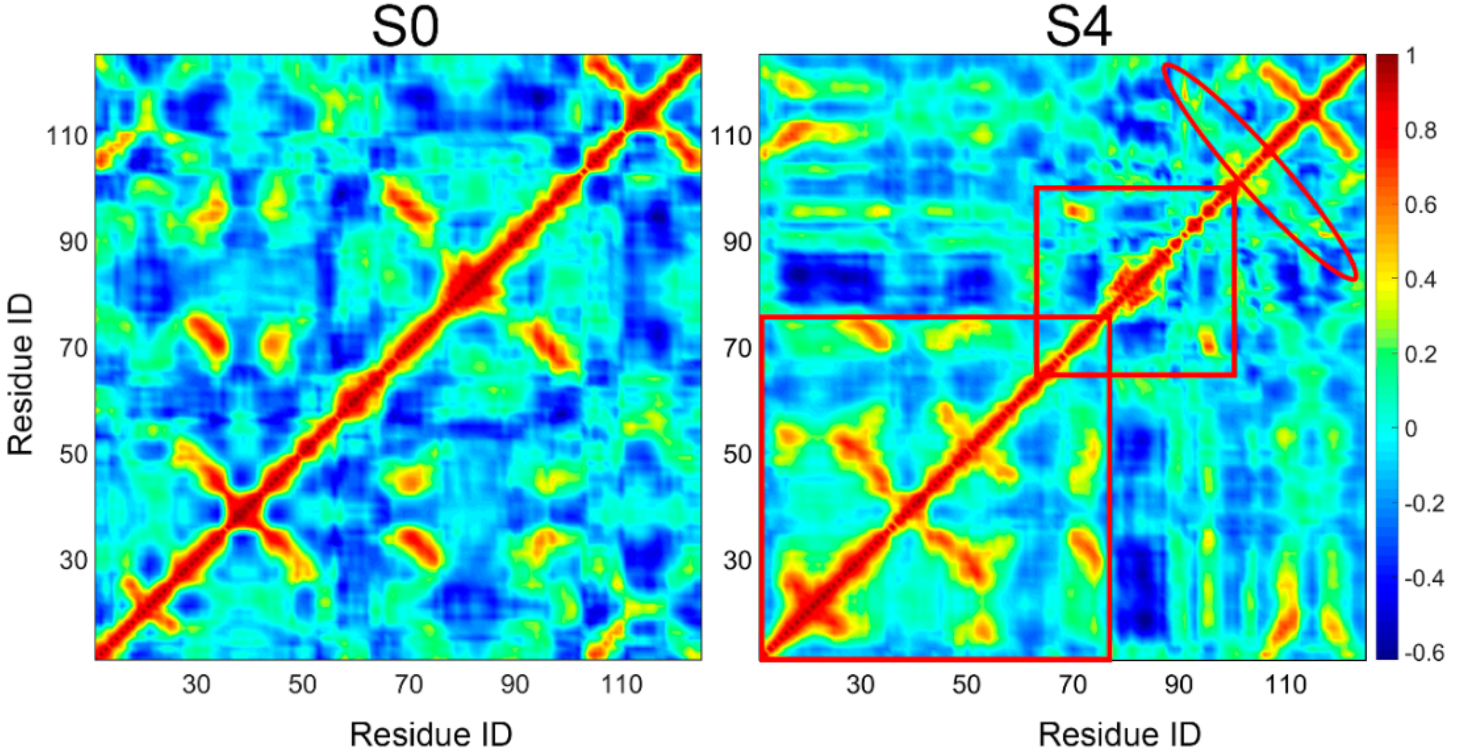 Biomolecules 09 00889 g007 Biomolecules 09 00889 g007