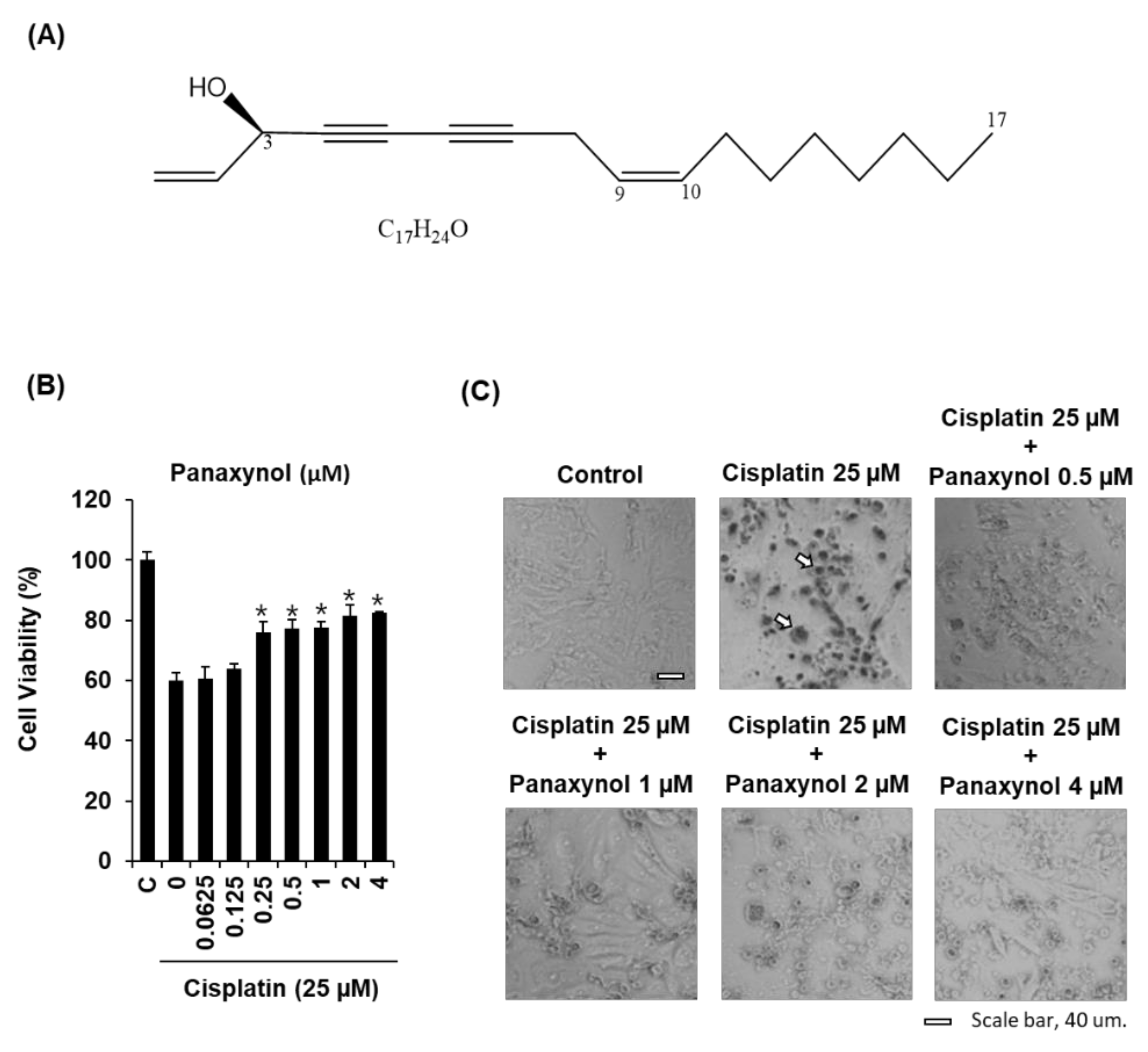 Biomolecules 09 00890 g002 Biomolecules 09 00890 g002