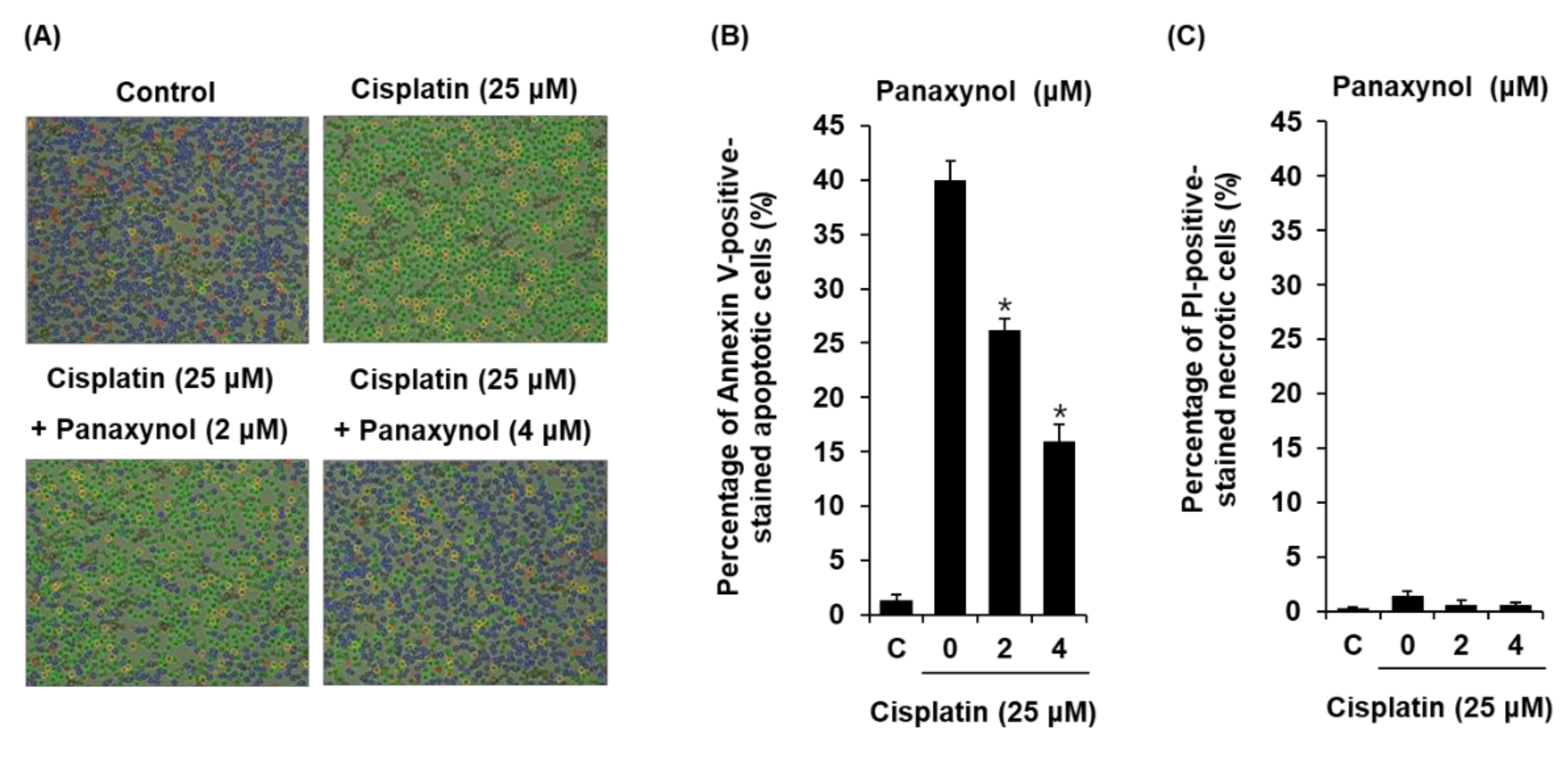 Biomolecules 09 00890 g003 Biomolecules 09 00890 g003