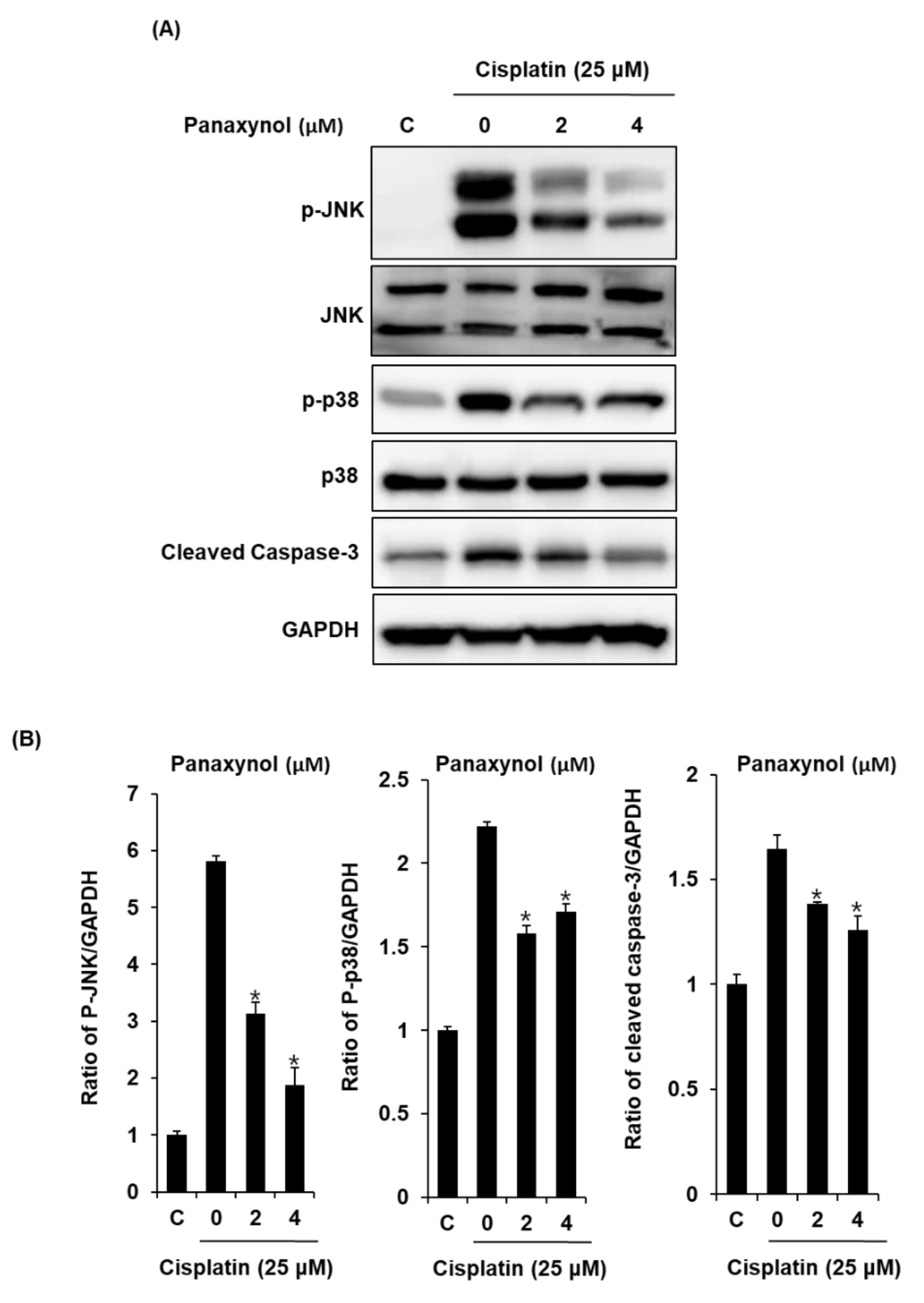 Biomolecules 09 00890 g004 Biomolecules 09 00890 g004
