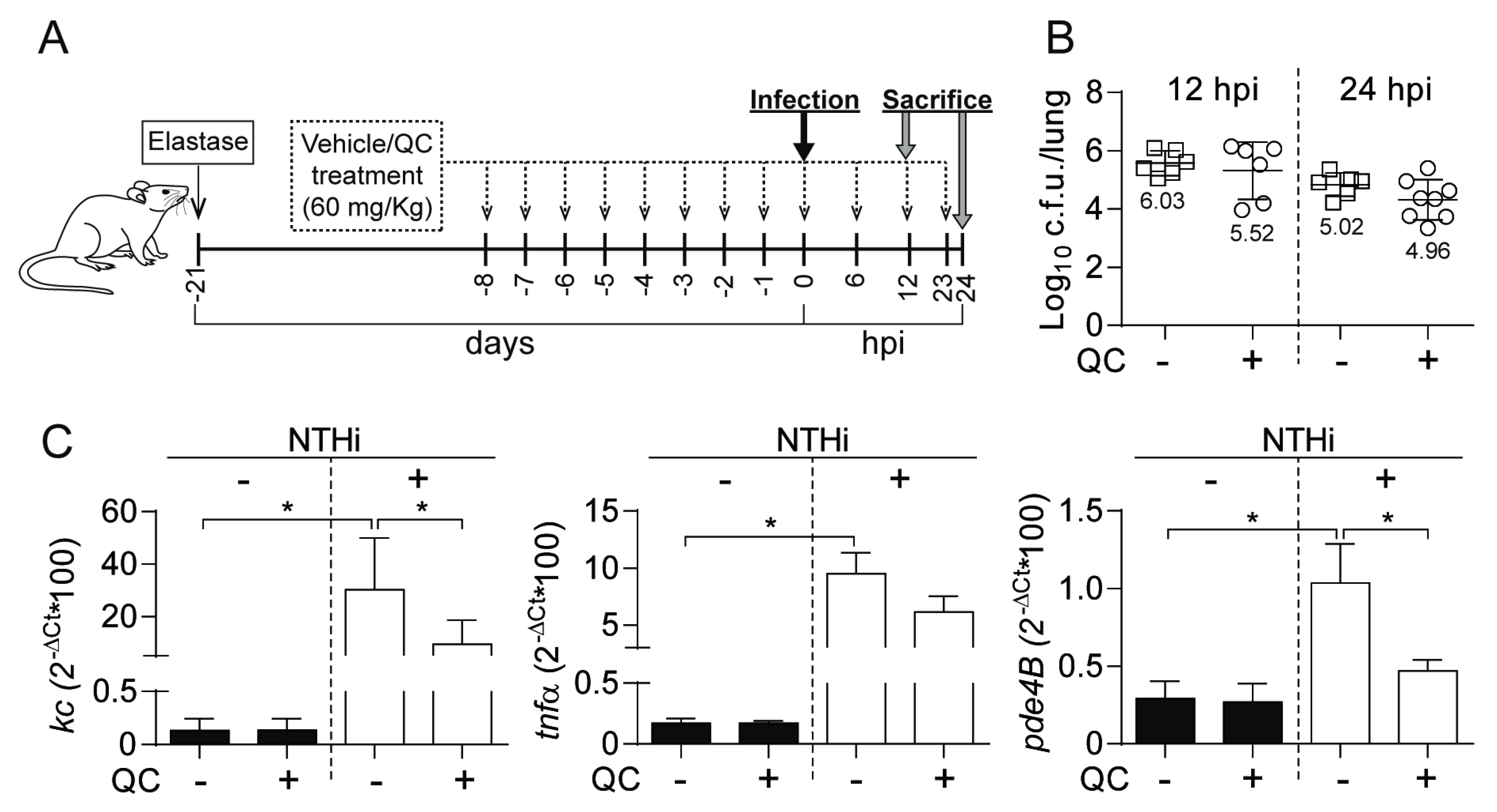 Biomolecules 09 00891 g004 Biomolecules 09 00891 g004