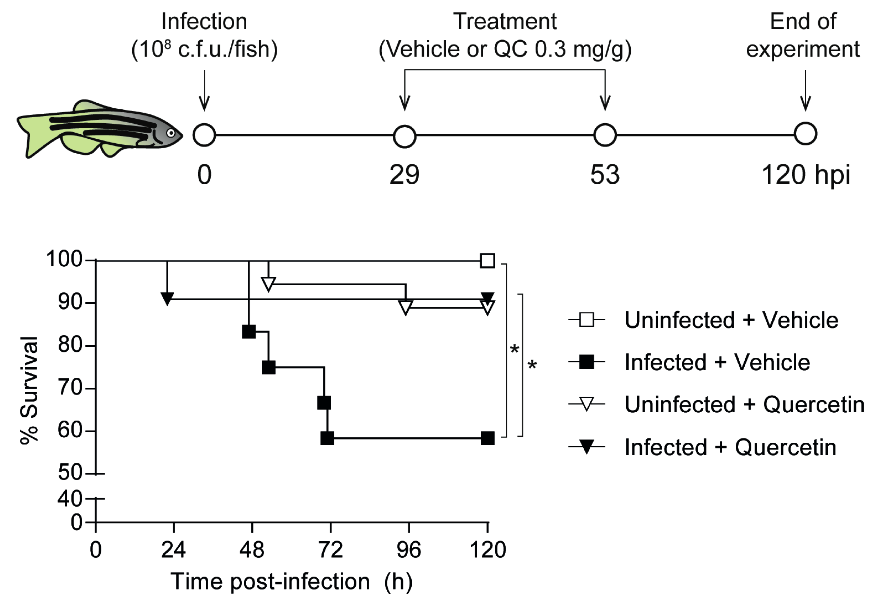 Biomolecules 09 00891 g005 Biomolecules 09 00891 g005