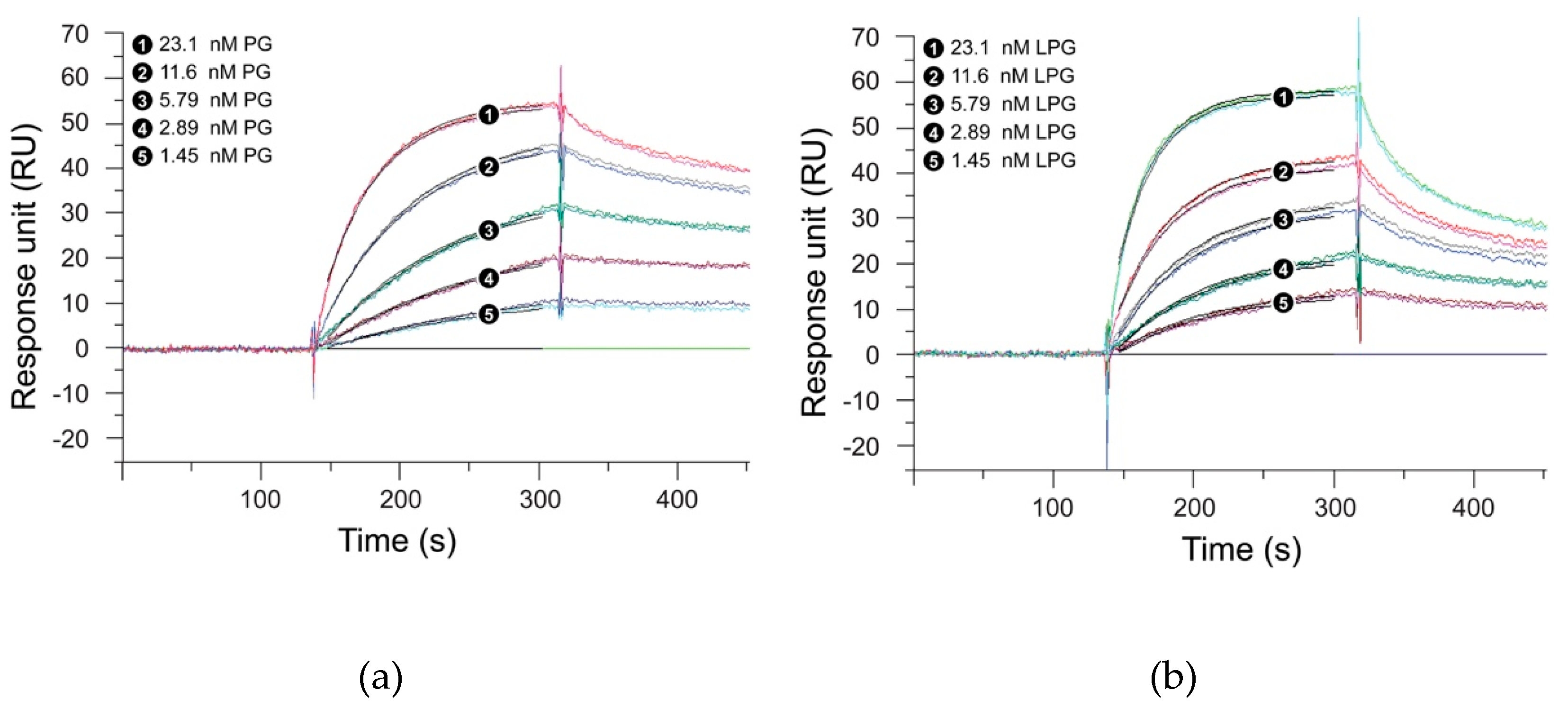 Biomolecules 10 00004 g004 Biomolecules 10 00004 g004