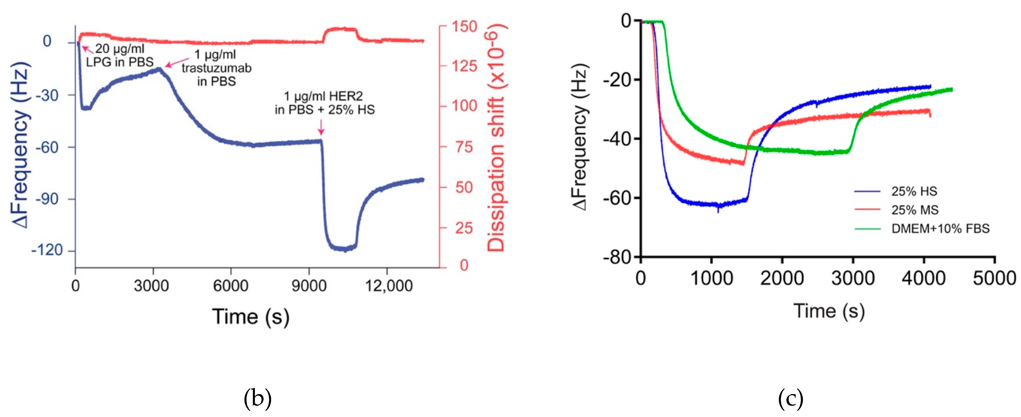 Biomolecules 10 00004 g007b Biomolecules 10 00004 g007b