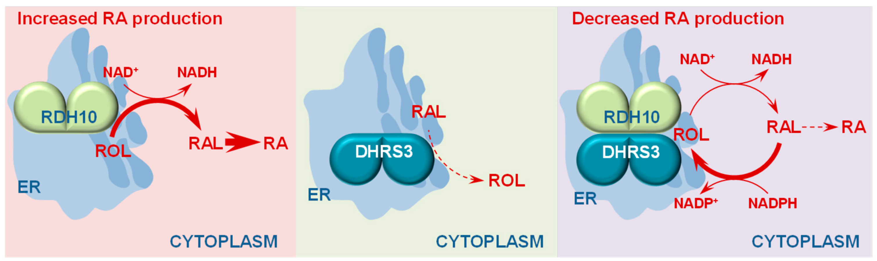 Biomolecules 10 00005 g002 Biomolecules 10 00005 g002