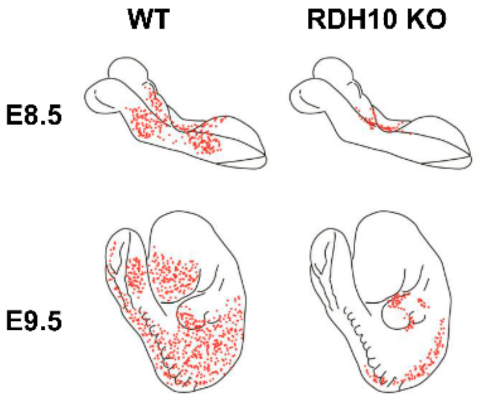 Biomolecules 10 00005 g003 Biomolecules 10 00005 g003