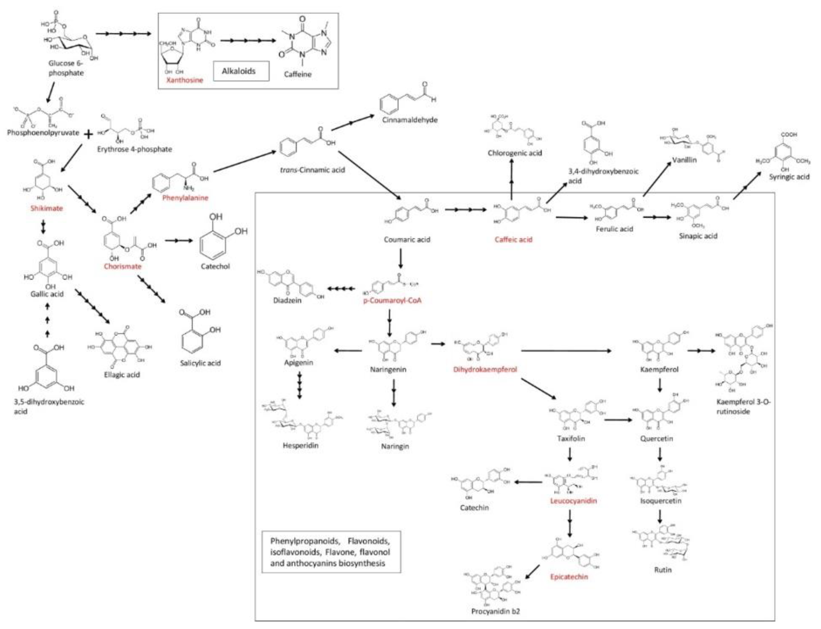 Biomolecules 10 00006 g001 Biomolecules 10 00006 g001