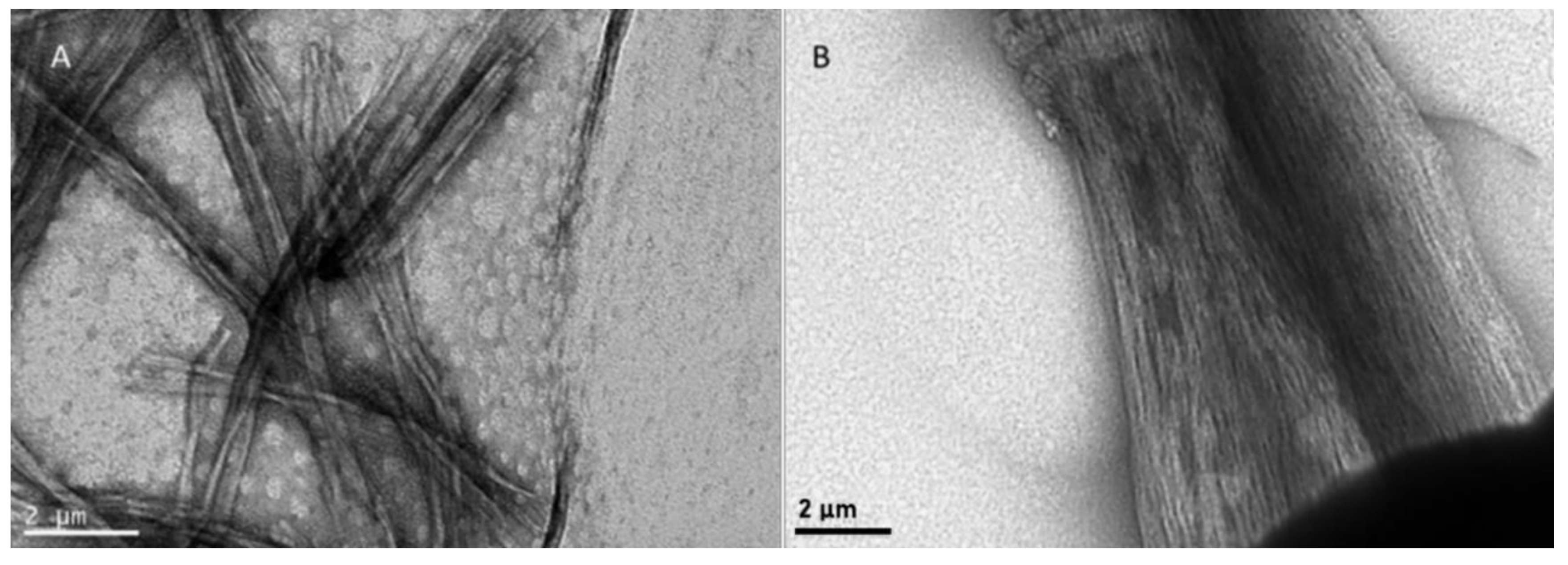 Biomolecules 10 00007 g006