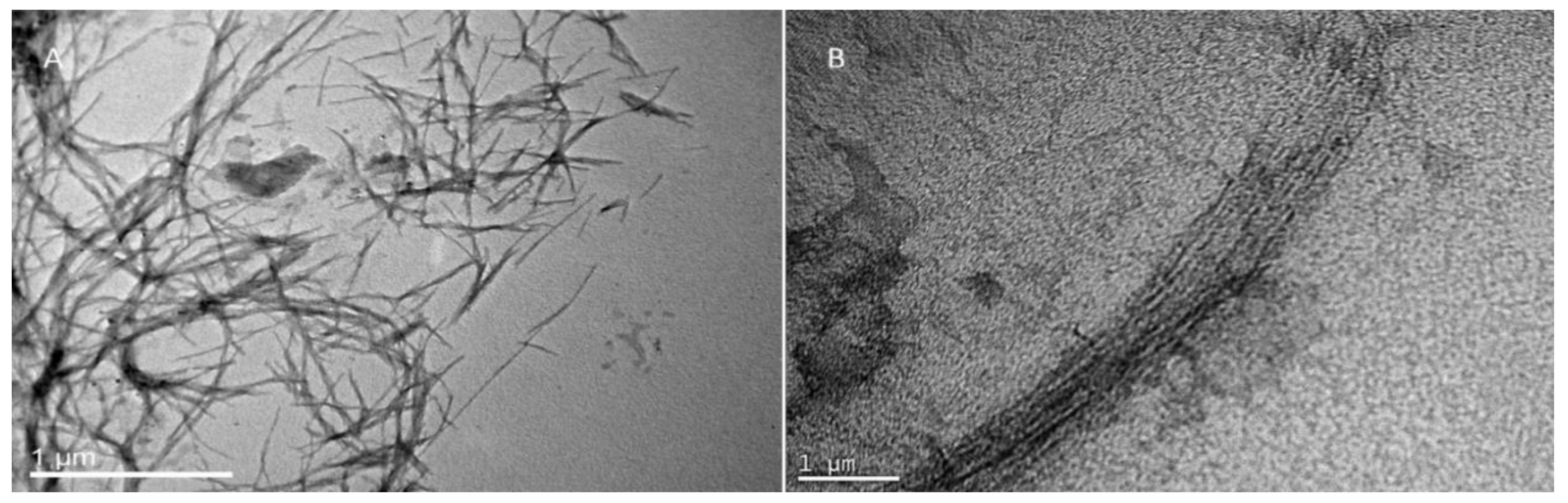 Biomolecules 10 00007 g007
