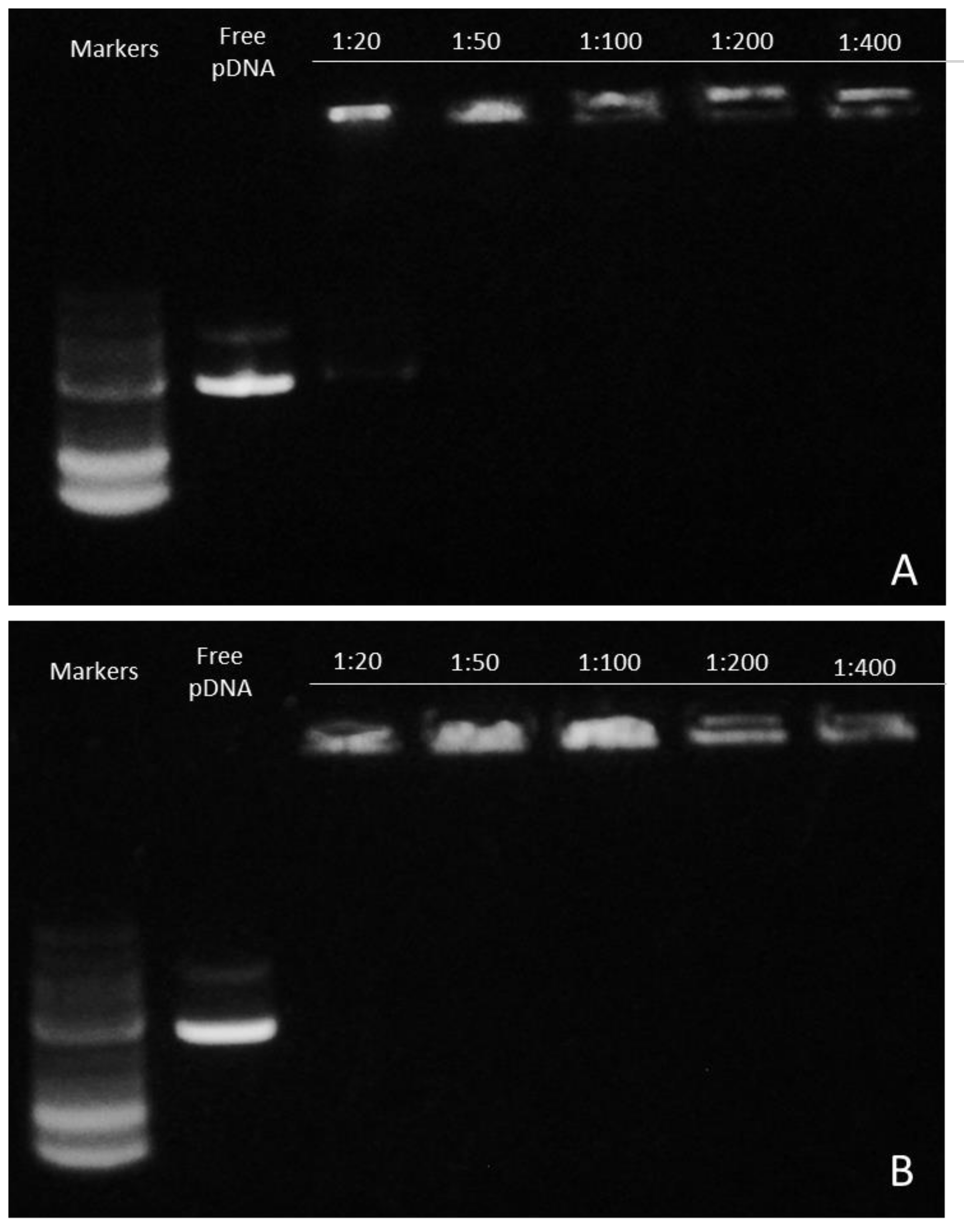 Biomolecules 10 00007 g008