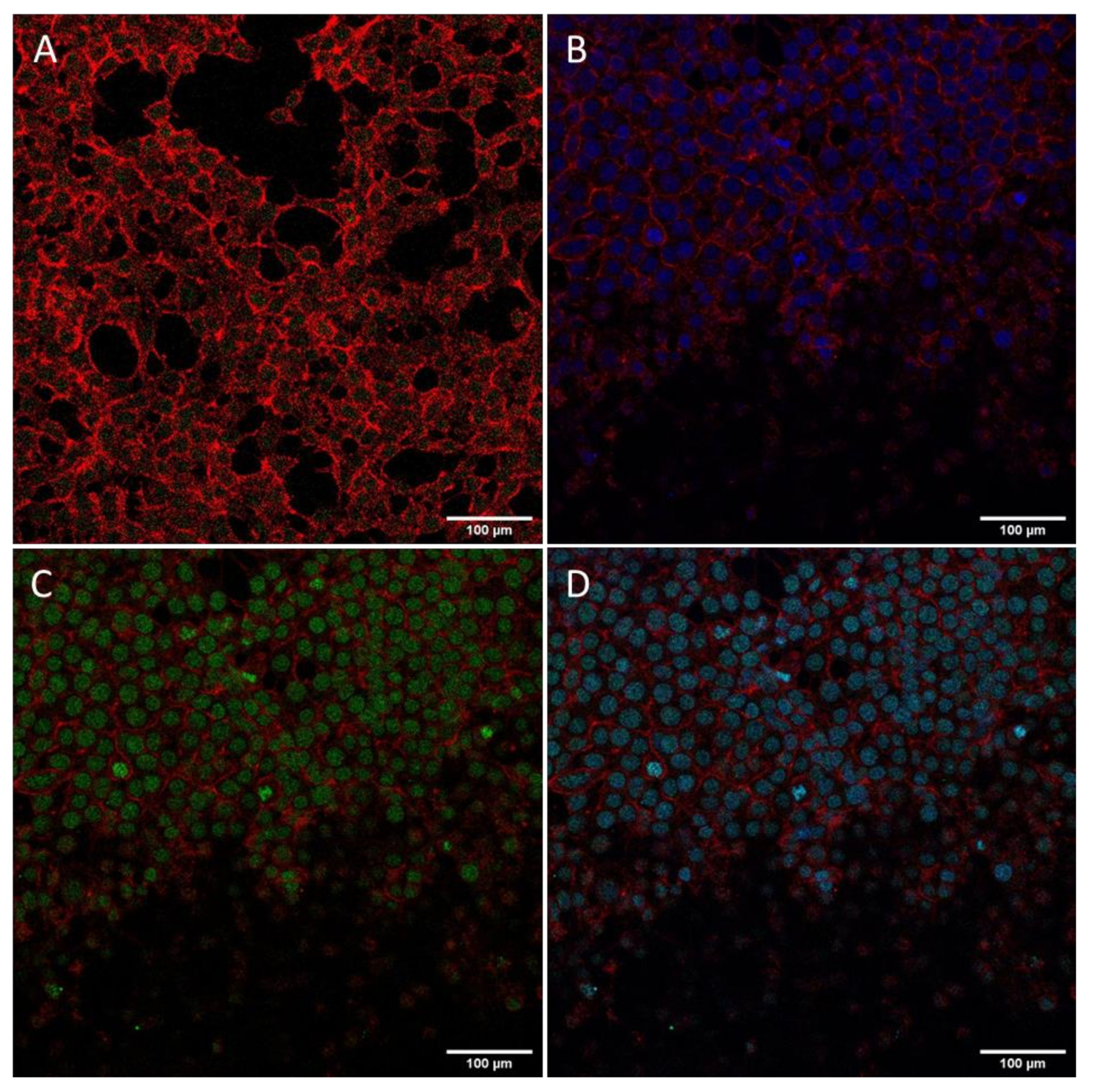 Biomolecules 10 00007 g011
