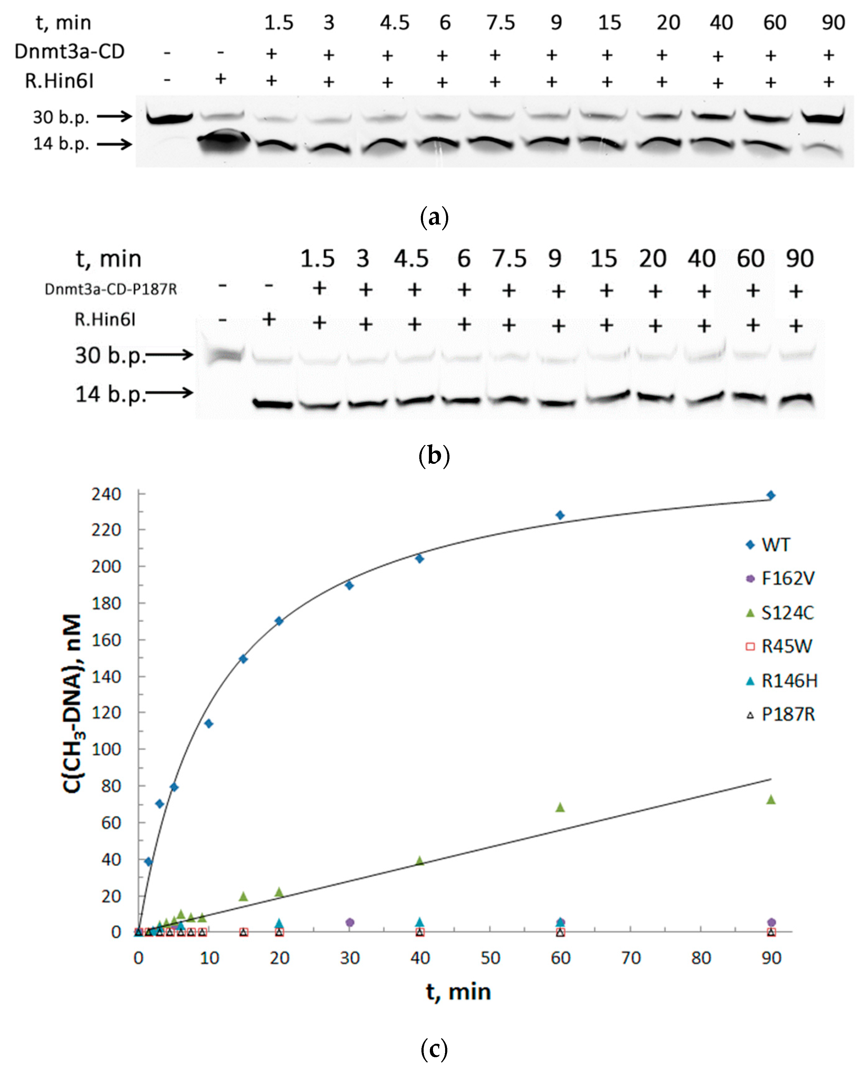Biomolecules 10 00008 g004
