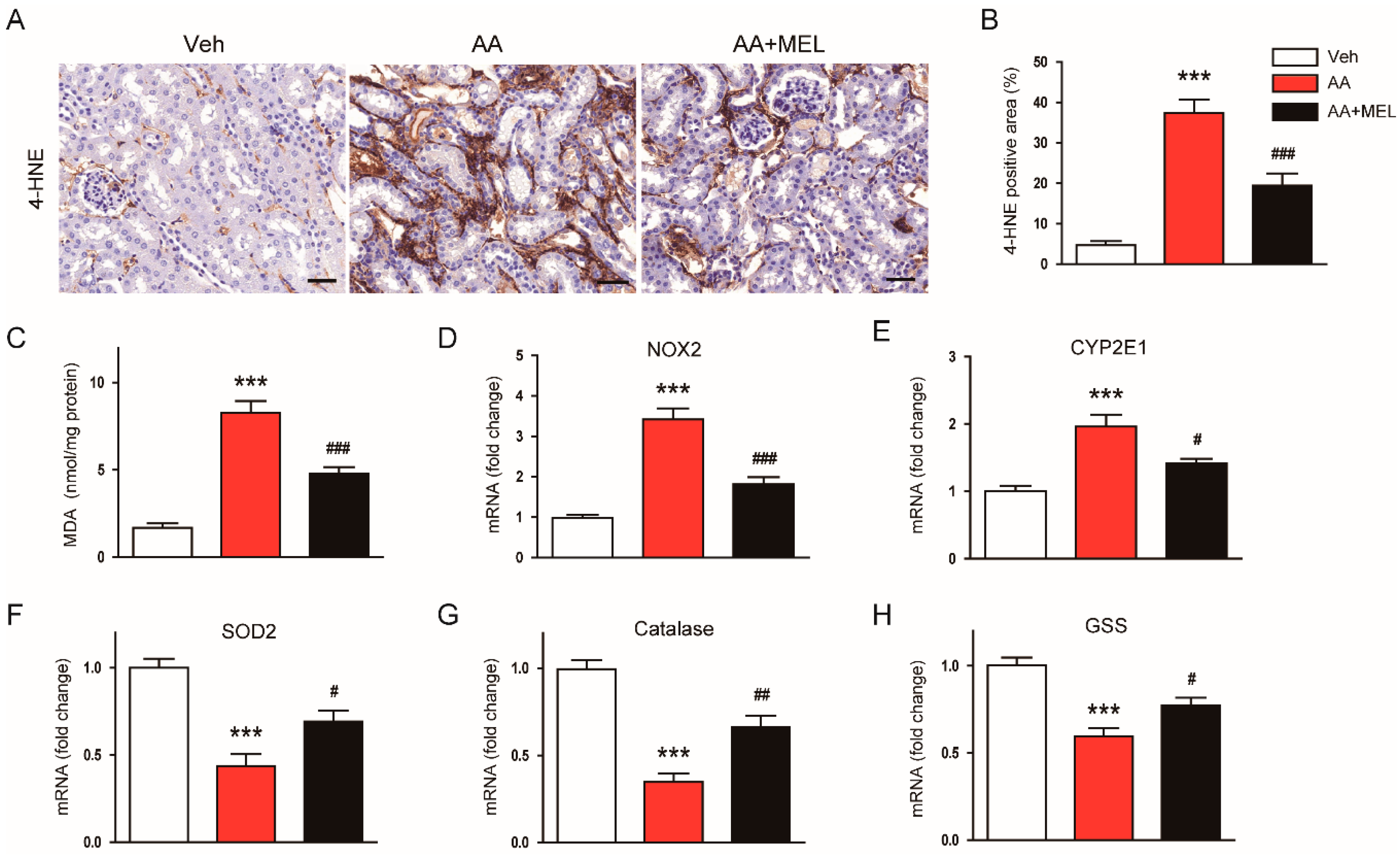 Biomolecules 10 00011 g003 Biomolecules 10 00011 g003
