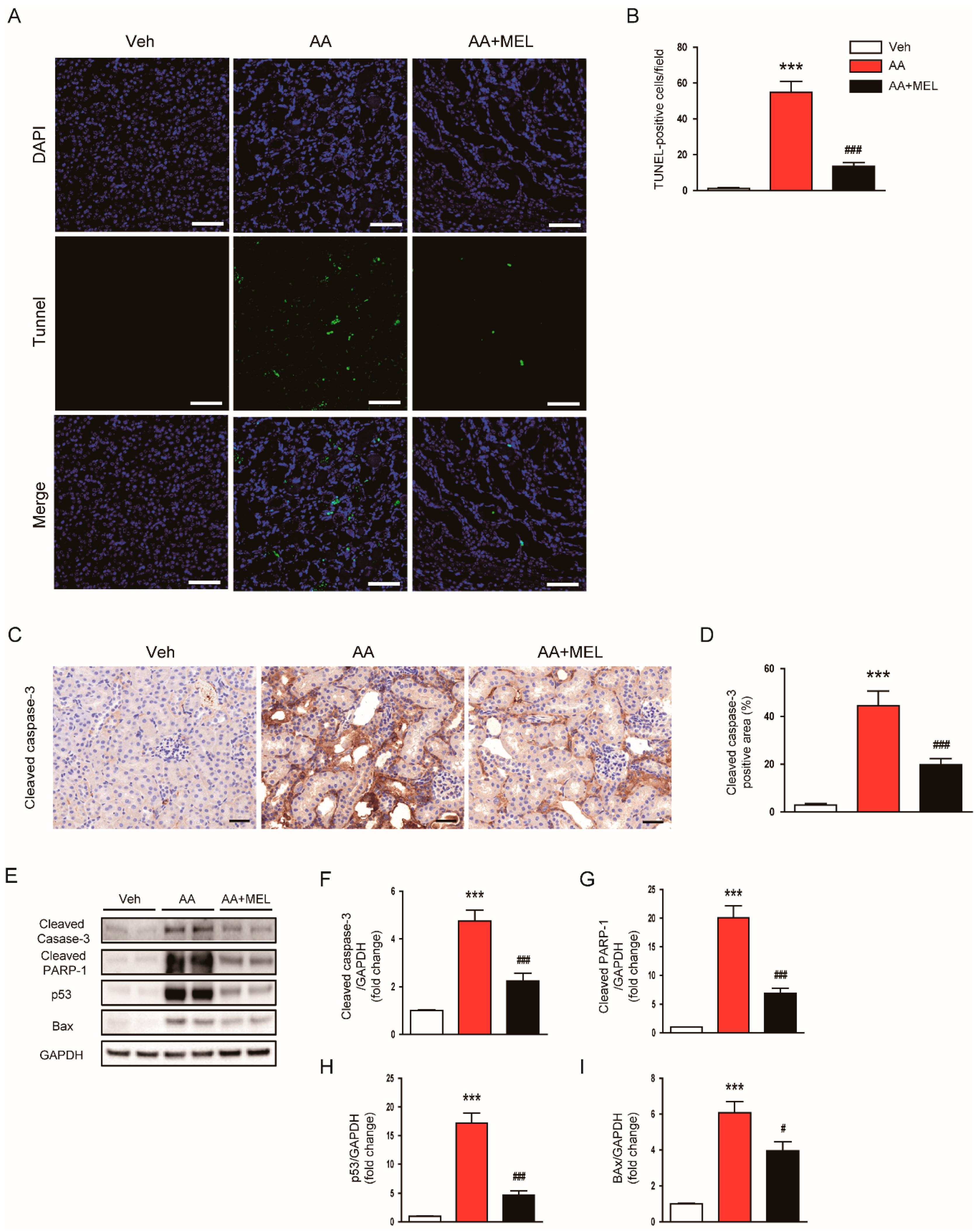 Biomolecules 10 00011 g004 Biomolecules 10 00011 g004