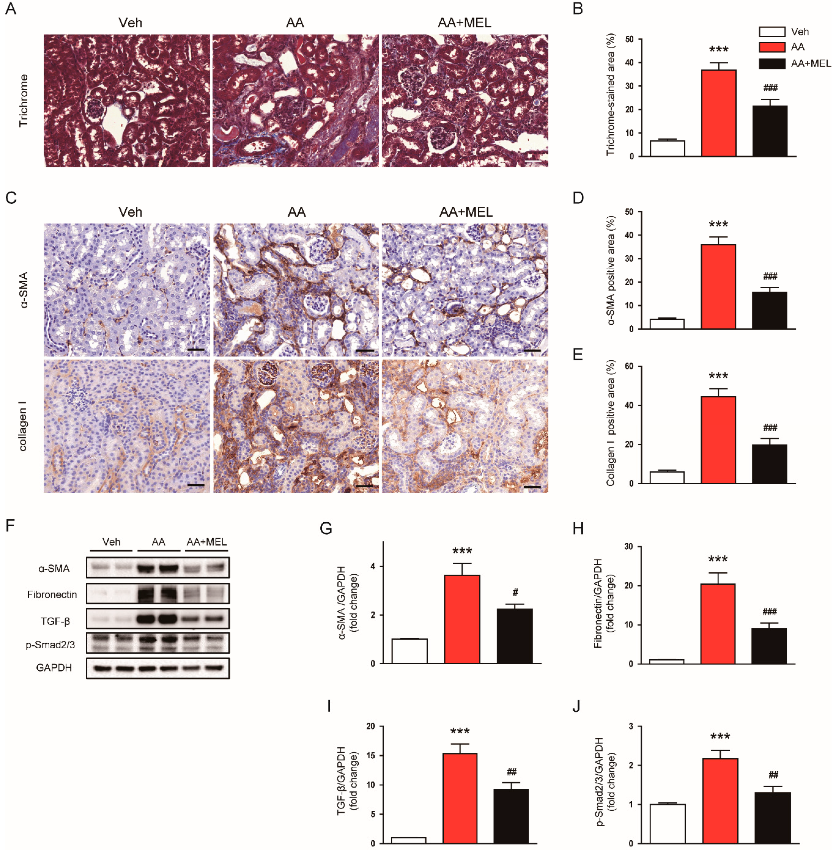 Biomolecules 10 00011 g006 Biomolecules 10 00011 g006