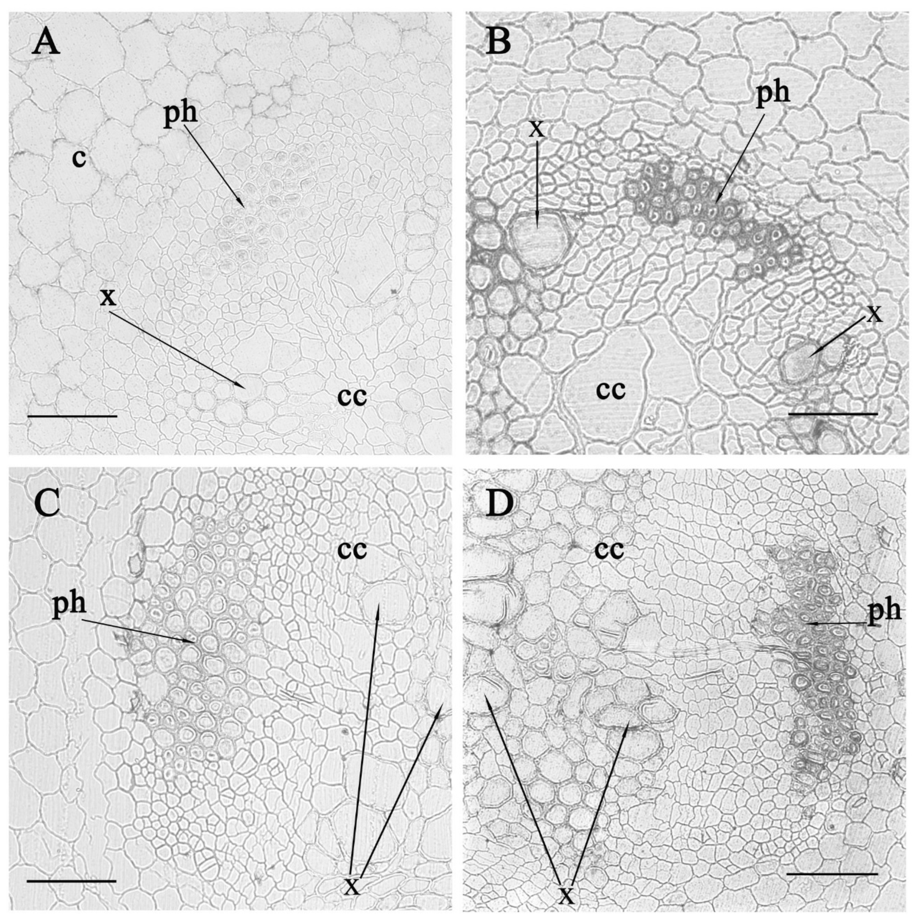Biomolecules 10 00015 g003