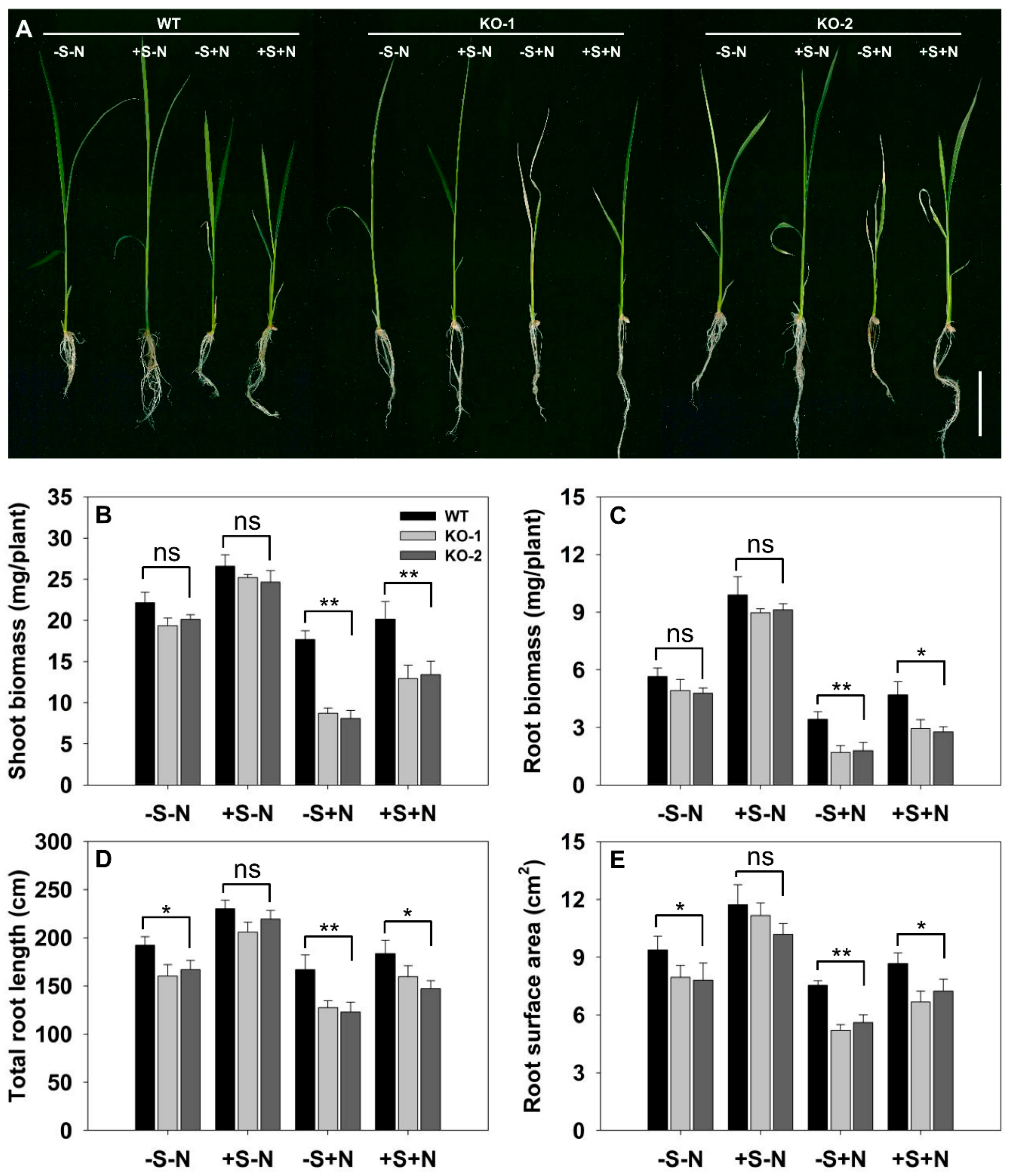 Biomolecules 10 00017 g008