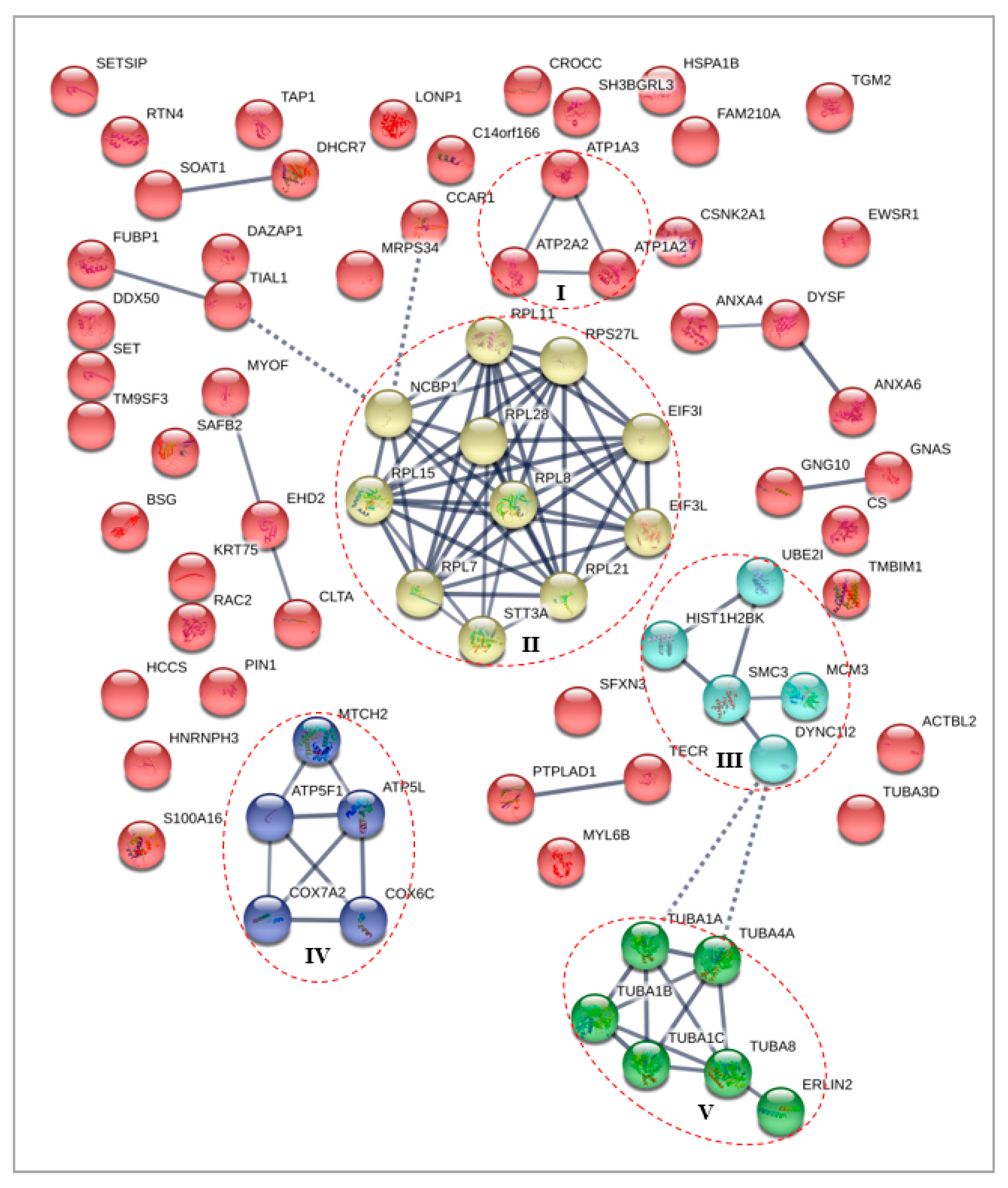 Biomolecules 10 00019 g004
