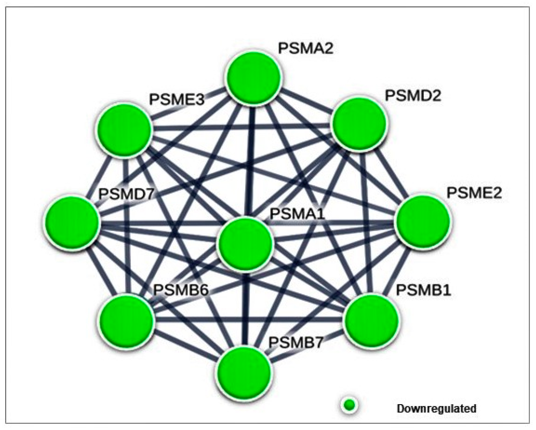 Biomolecules 10 00019 g005