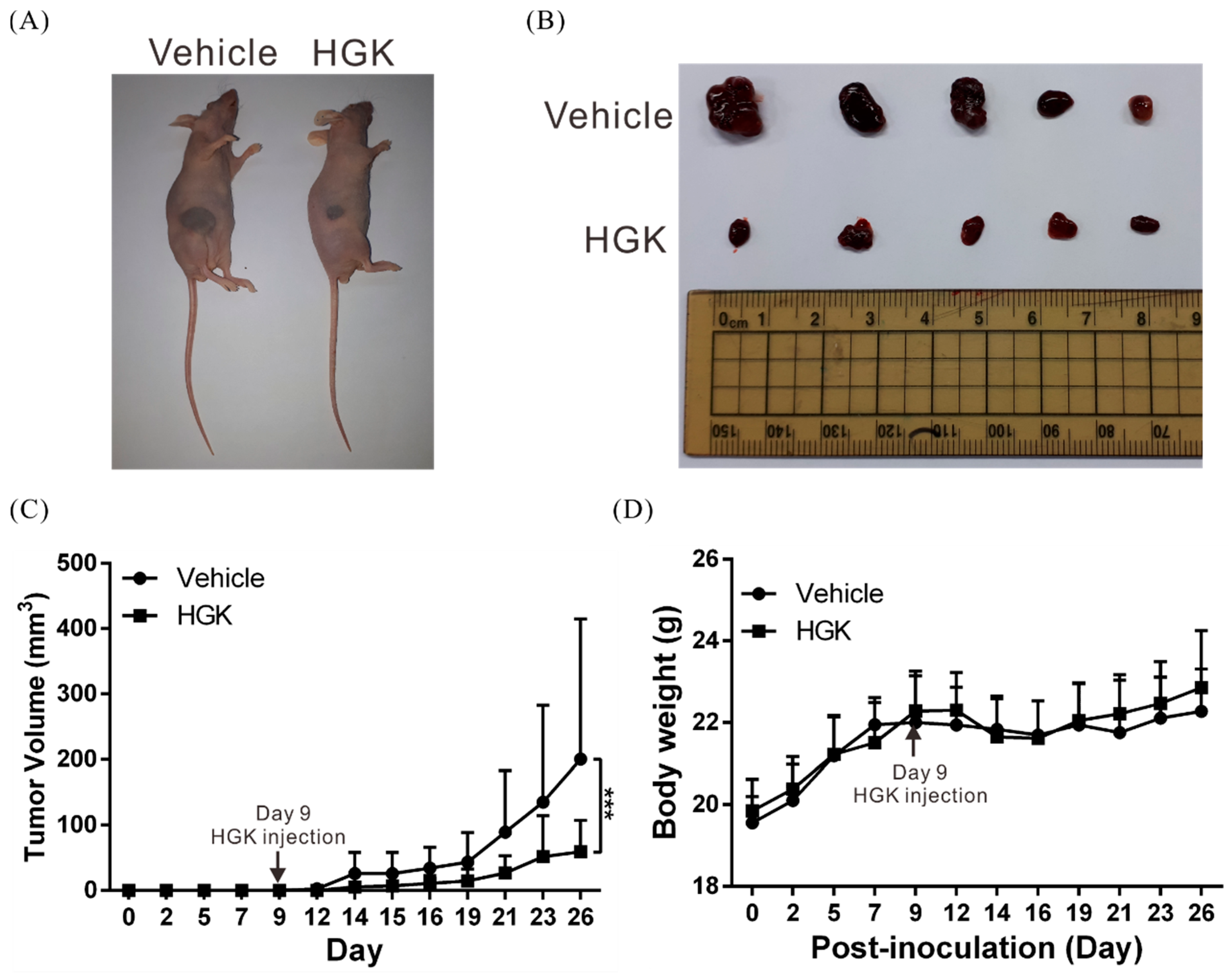 Biomolecules 10 00020 g002