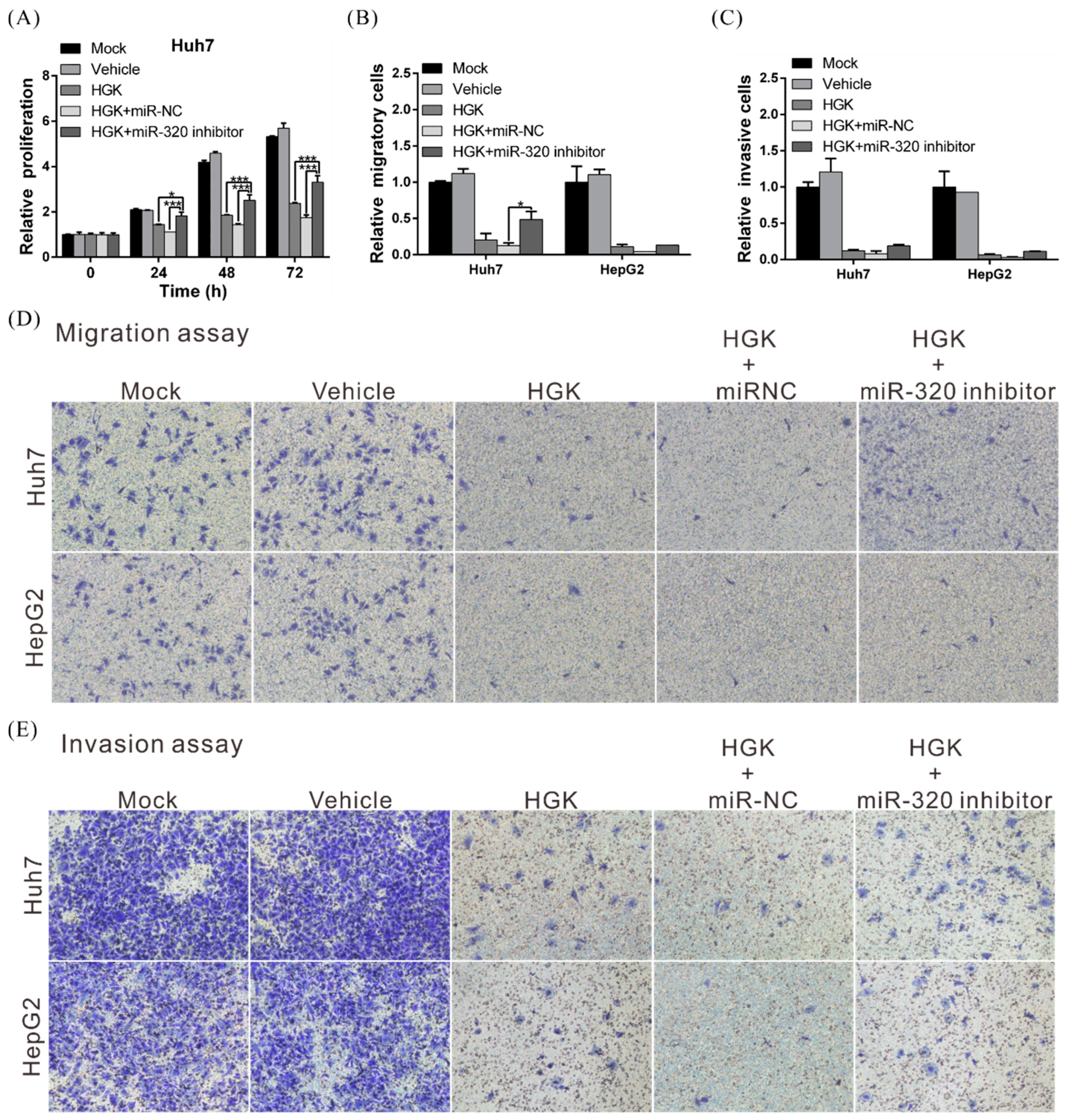 Biomolecules Free Full Text Suppression Of Hepatocellular Carcinoma Progression Through Foxm1 And Emt Inhibition Via Hydroxygenkwanin Induced Mir 3a Expression Html