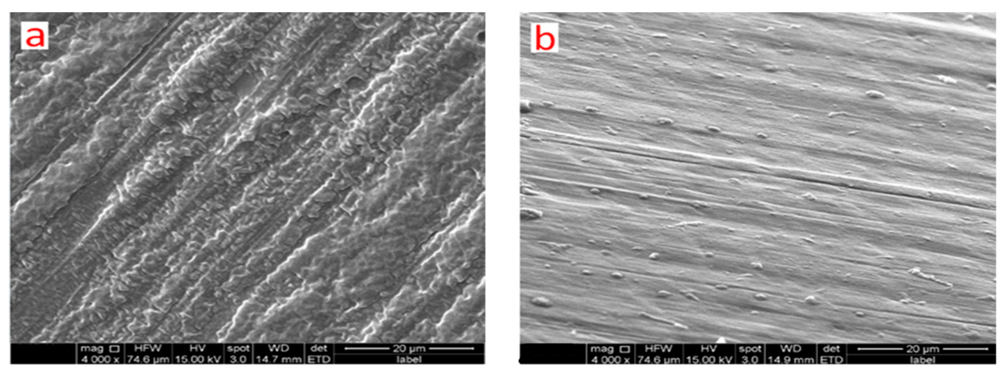 Biomolecules 10 00027 g013