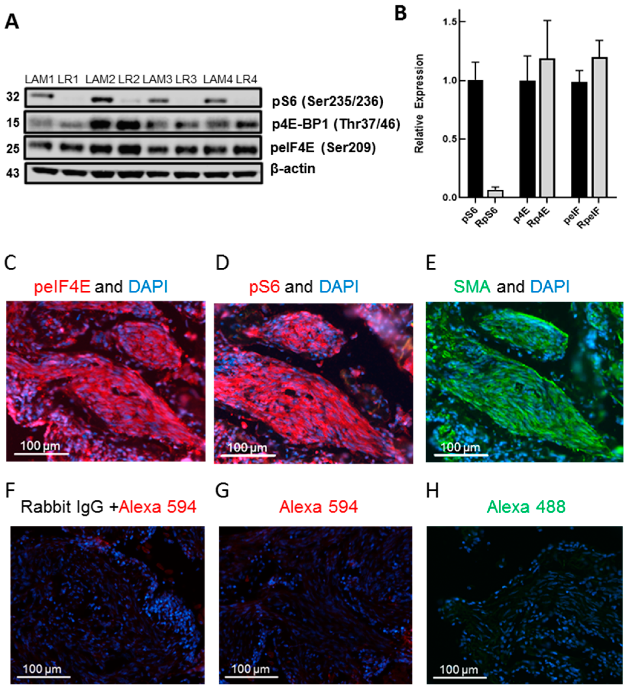 Biomolecules 10 00028 g002