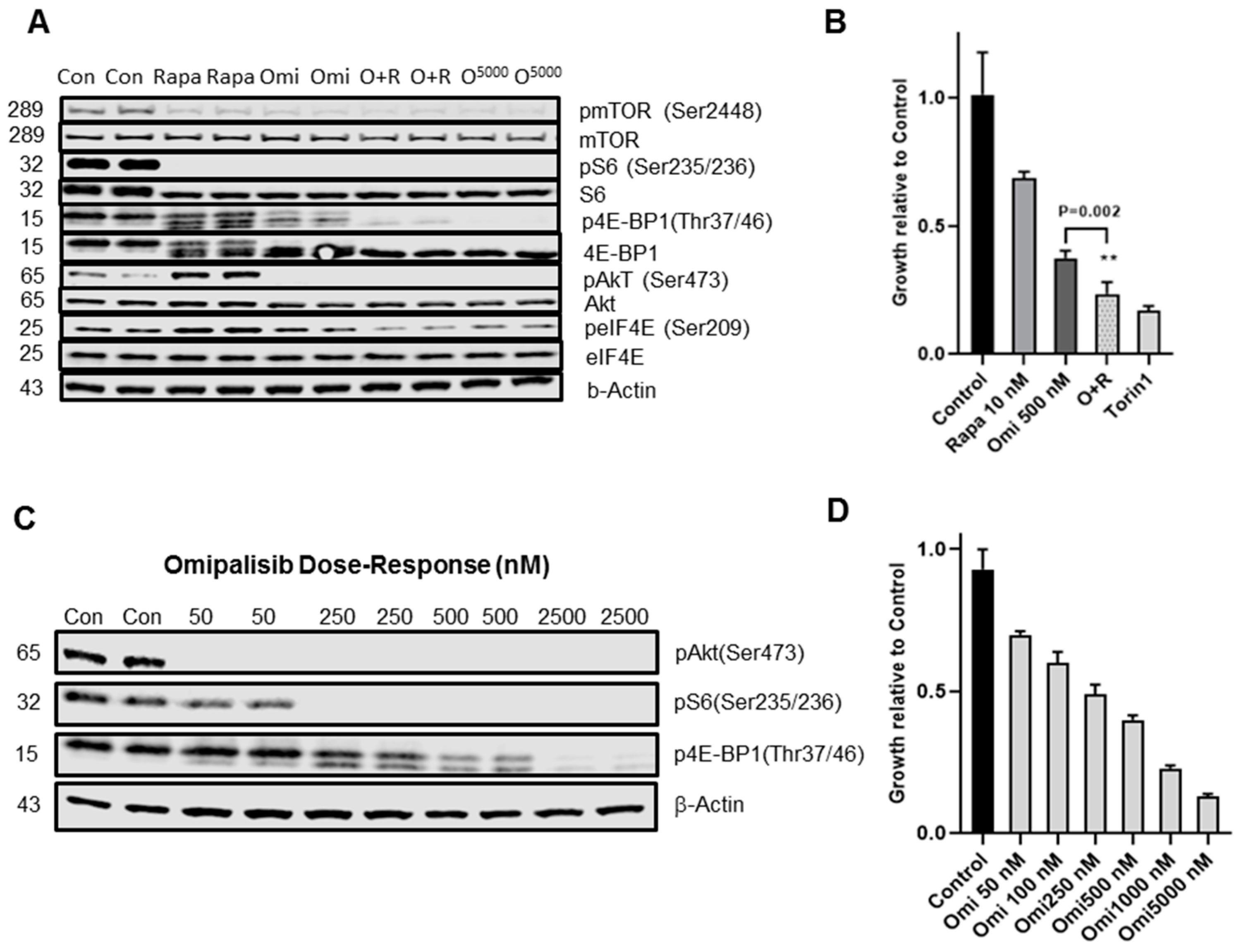 Biomolecules 10 00028 g004