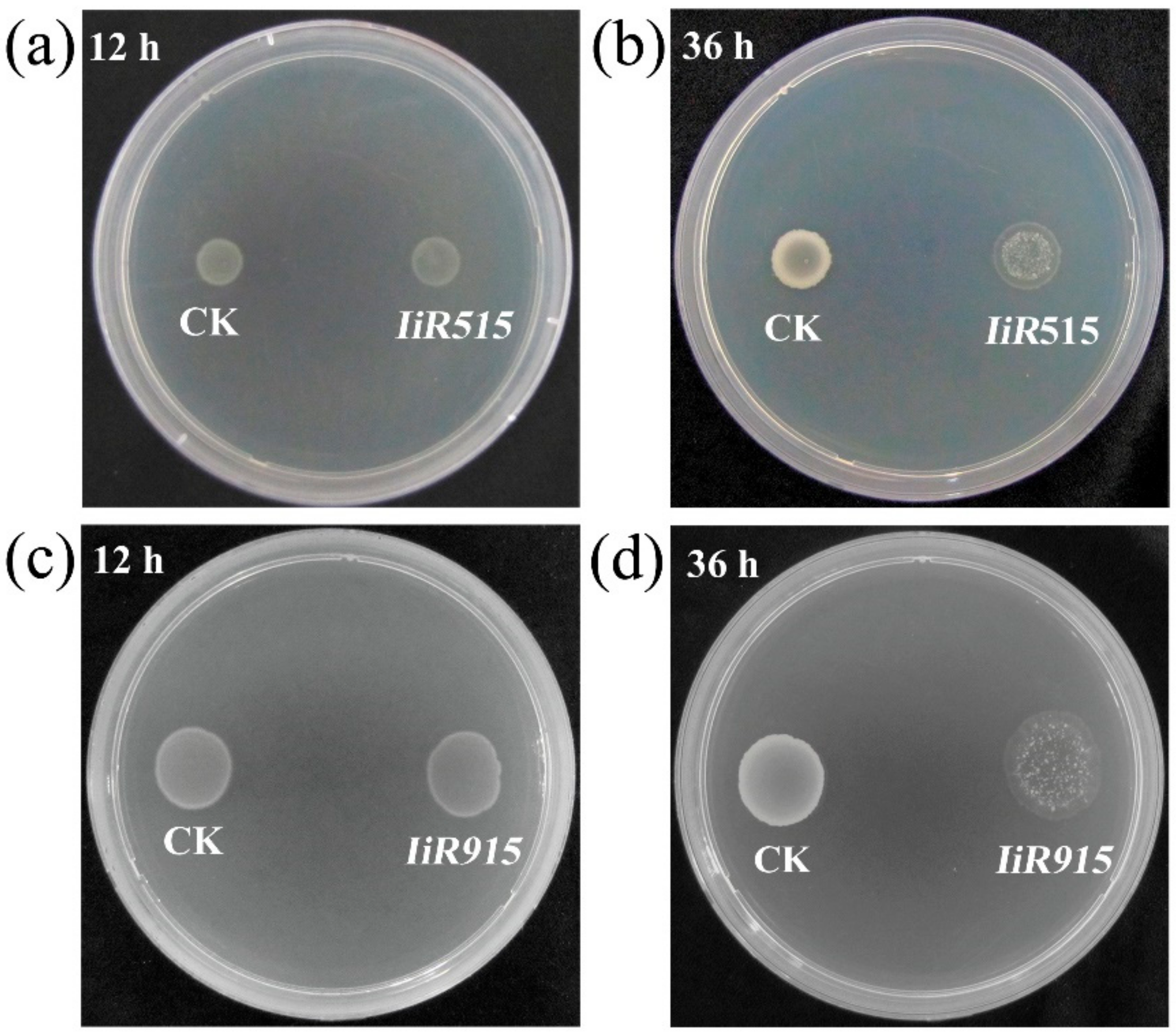 Biomolecules 10 00030 g001 Biomolecules 10 00030 g001