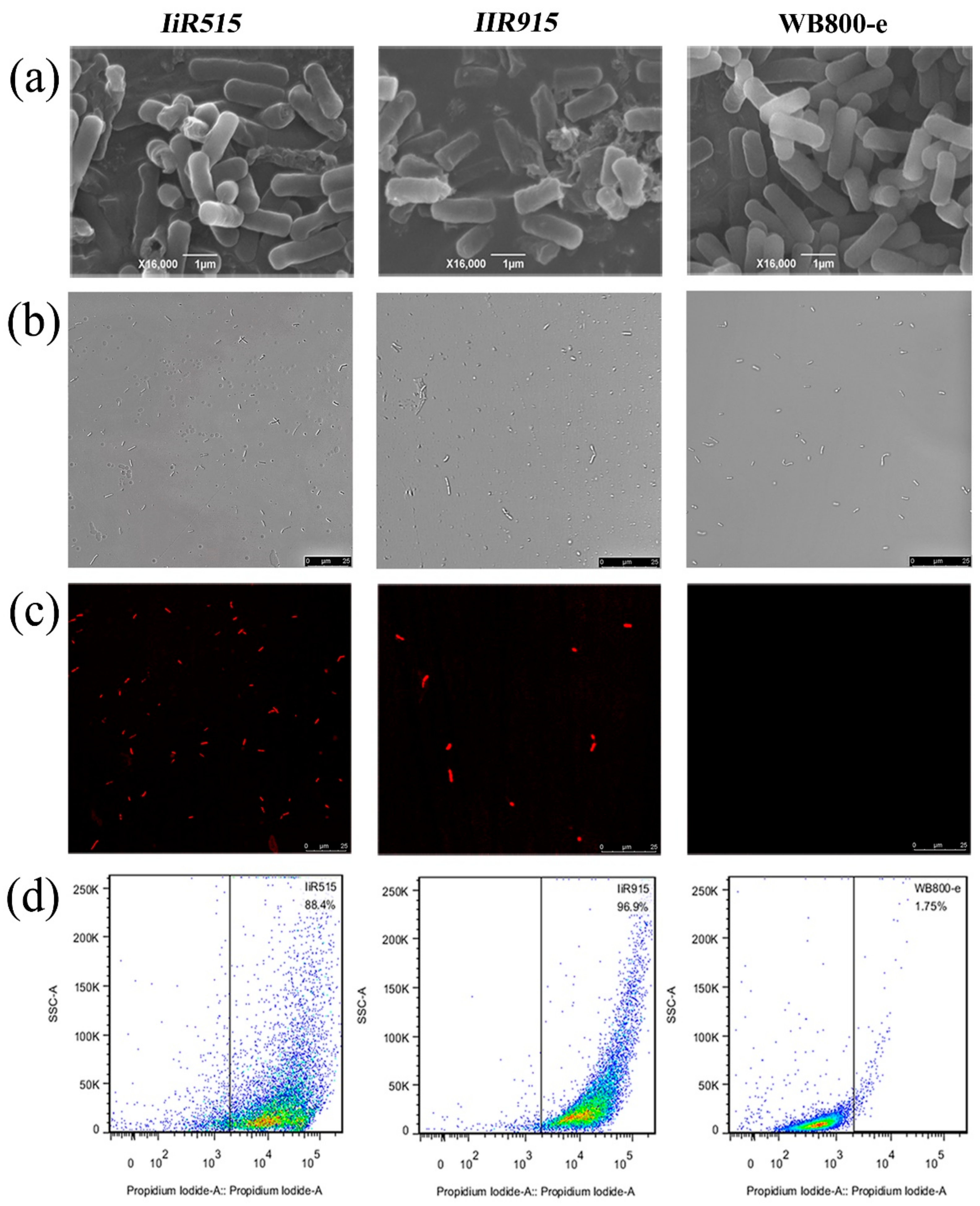 Biomolecules 10 00030 g002 Biomolecules 10 00030 g002