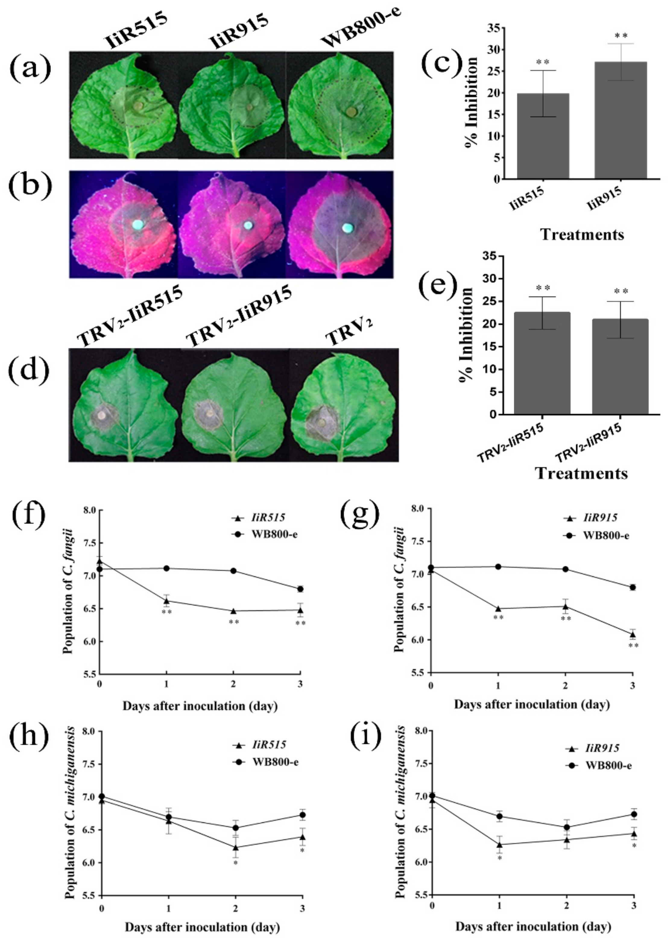 Biomolecules 10 00030 g006 Biomolecules 10 00030 g006