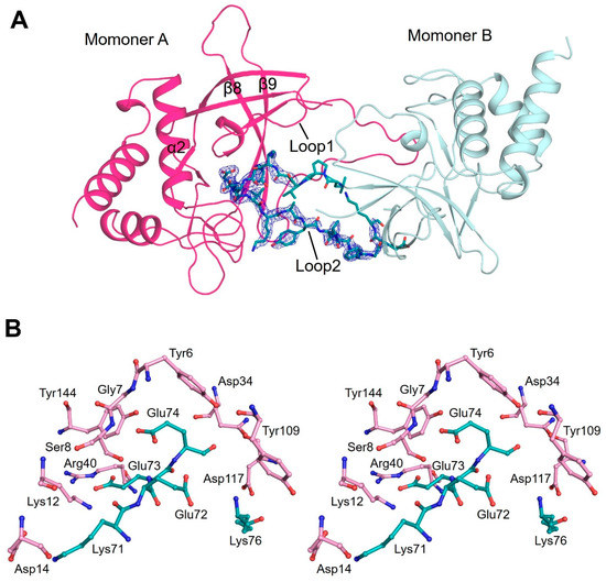 Biomolecules Special Issue Celebrating the First Impact Factor of