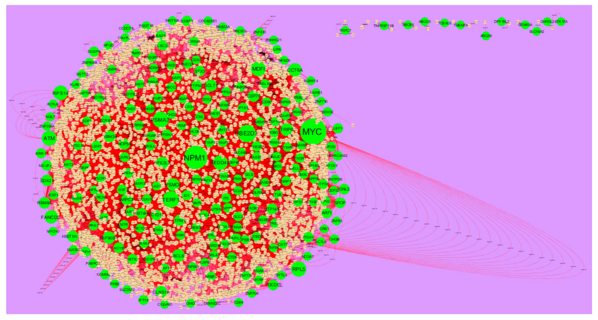 Biomolecules 10 00035 g006 Biomolecules 10 00035 g006