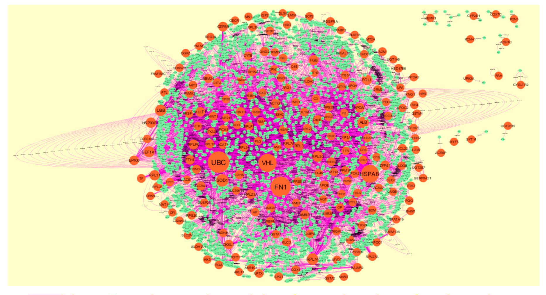 Biomolecules 10 00035 g008 Biomolecules 10 00035 g008