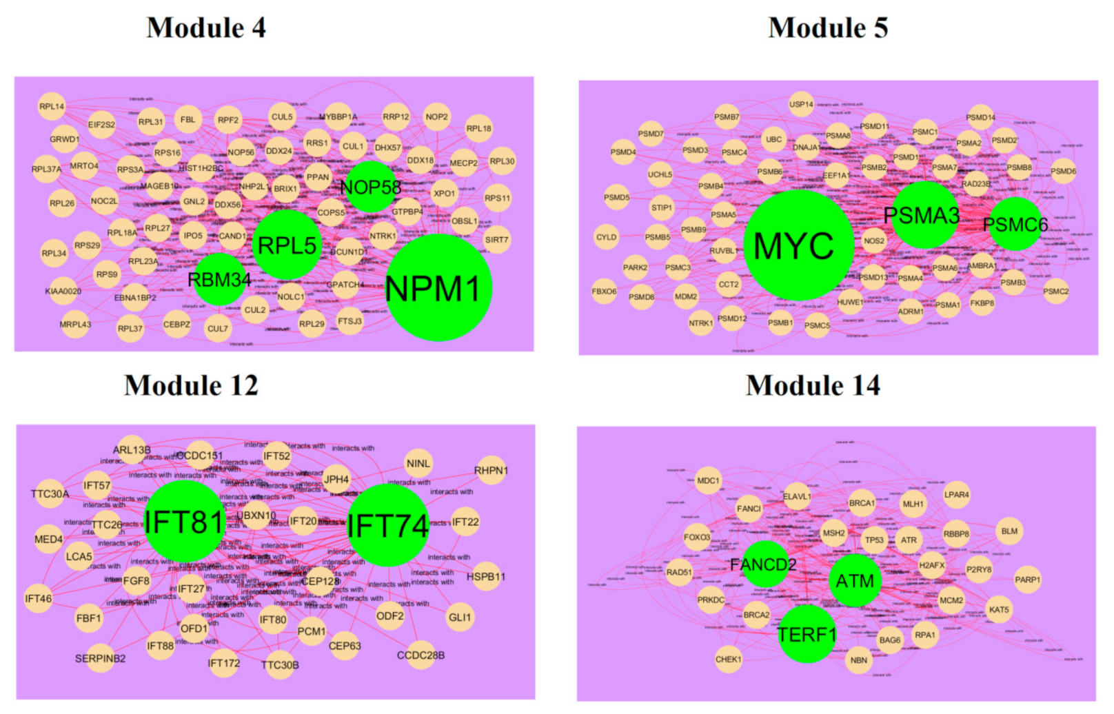 Biomolecules 10 00035 g010 Biomolecules 10 00035 g010