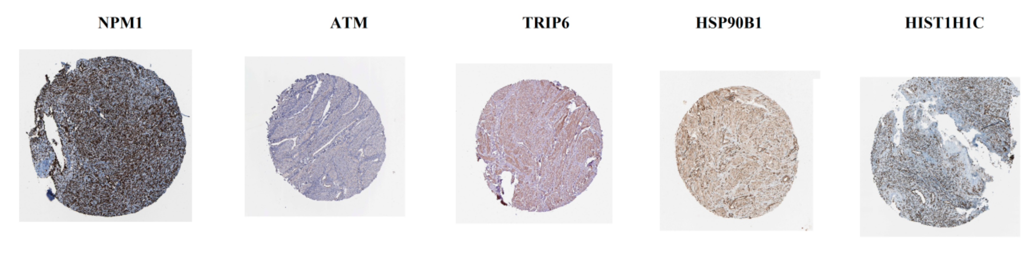 Biomolecules 10 00035 g016 Biomolecules 10 00035 g016