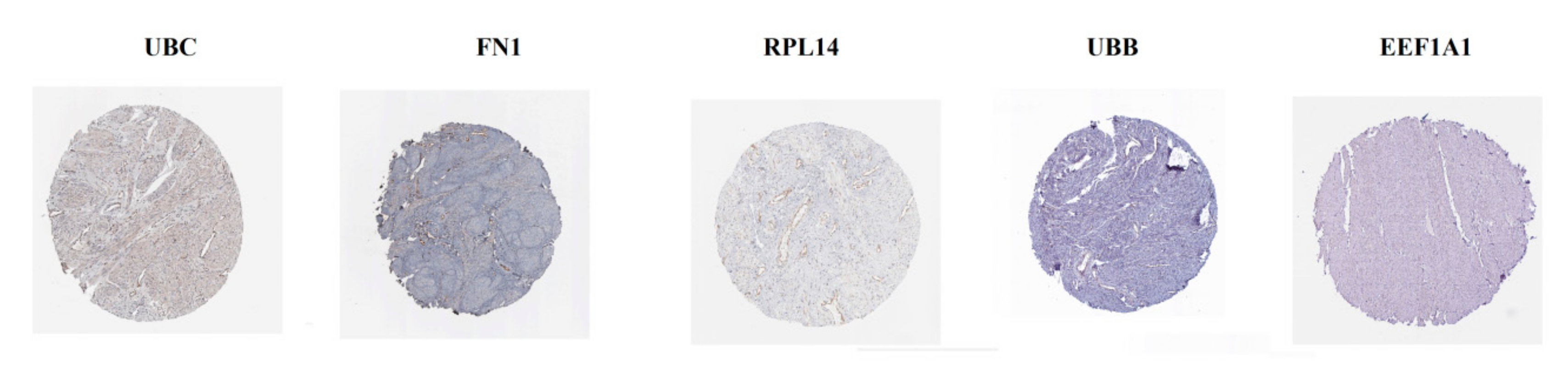 Biomolecules 10 00035 g017 Biomolecules 10 00035 g017