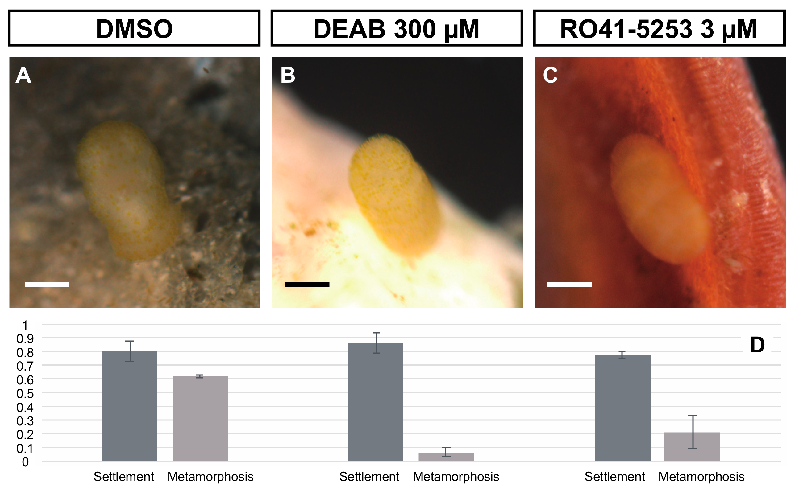 Biomolecules 10 00037 g004 Biomolecules 10 00037 g004