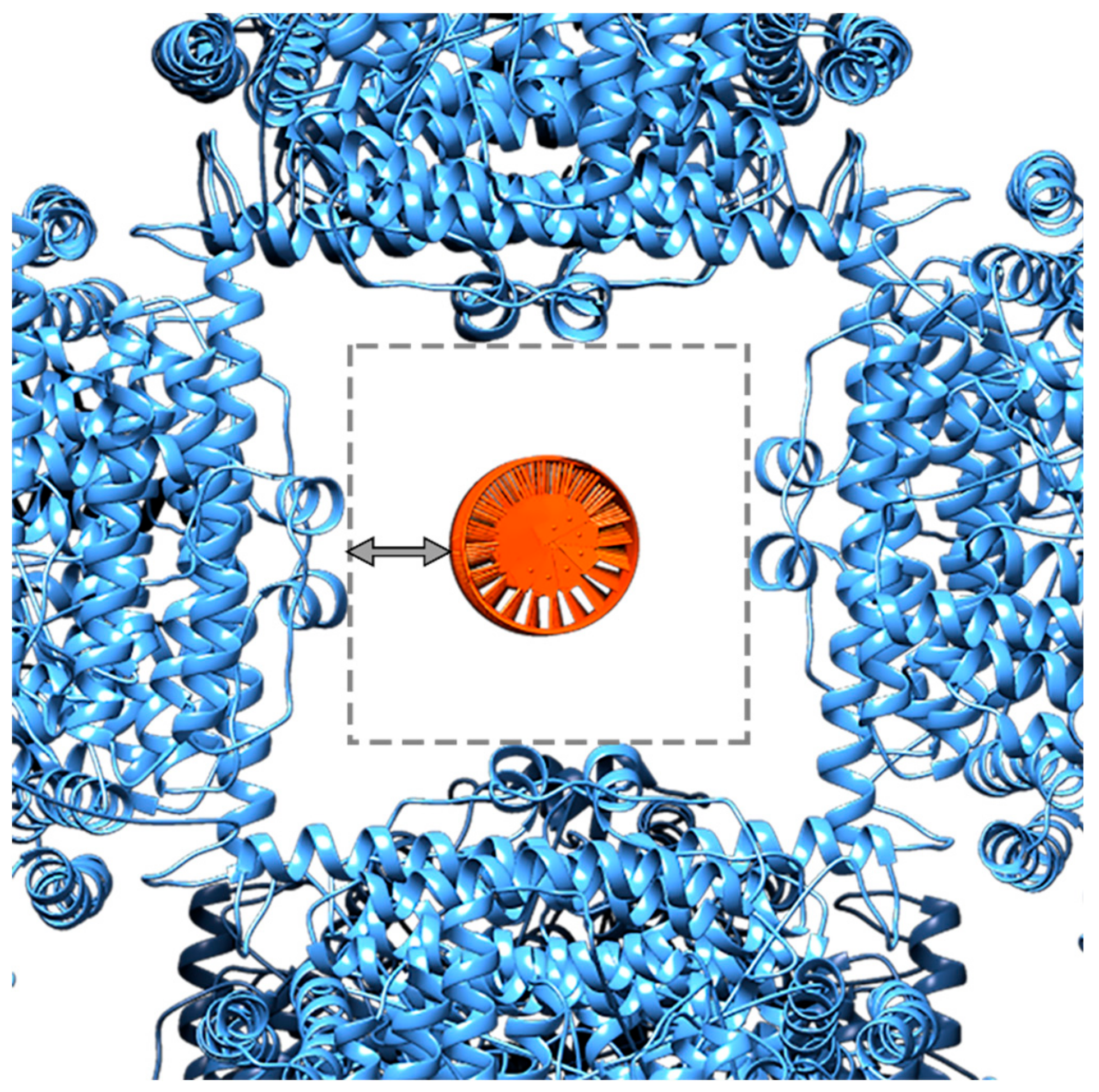Biomolecules 10 00039 g0a5 Biomolecules 10 00039 g0a5