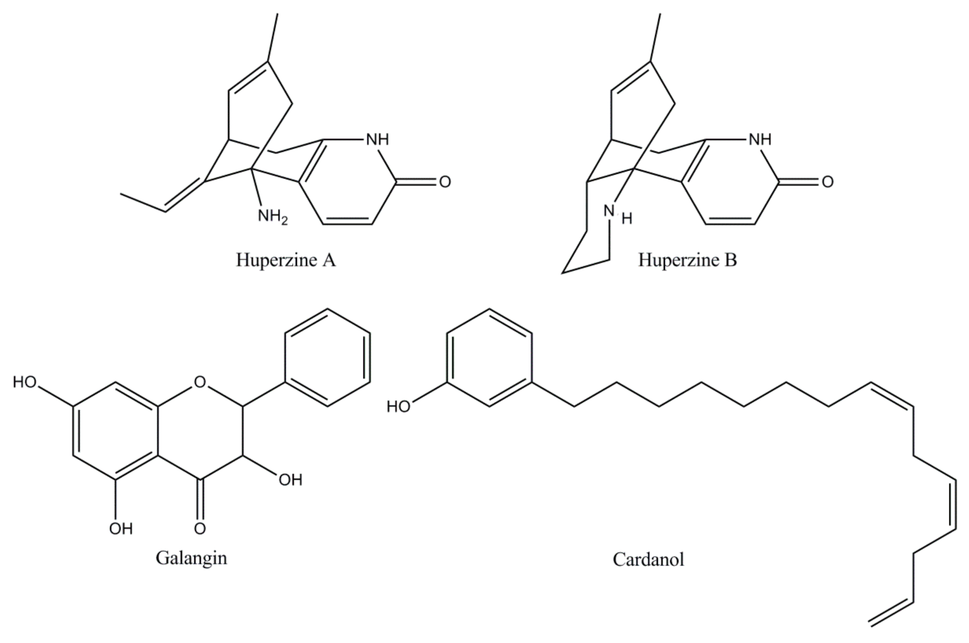Biomolecules 10 00040 g005 Biomolecules 10 00040 g005