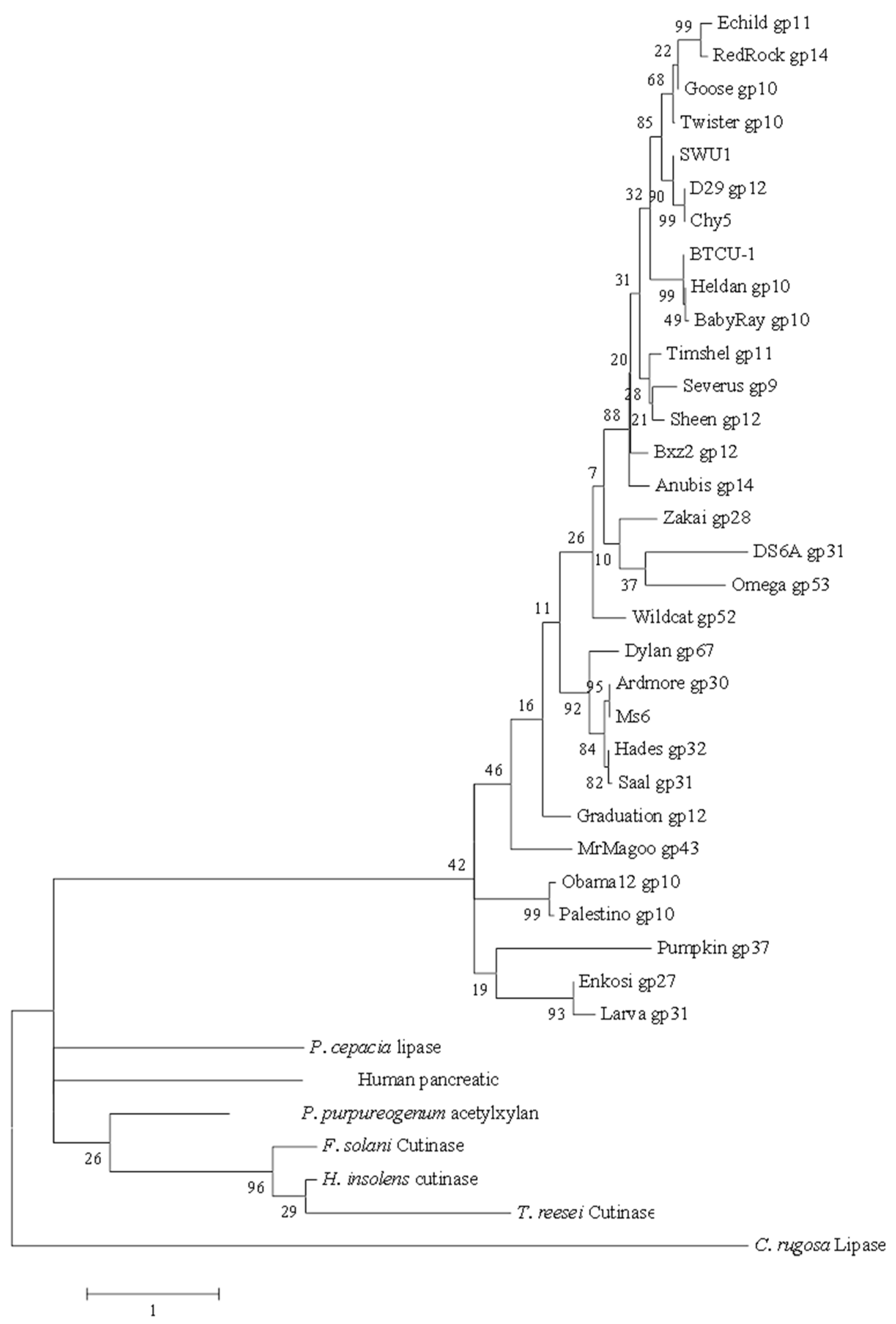 Biomolecules 10 00045 g002 Biomolecules 10 00045 g002