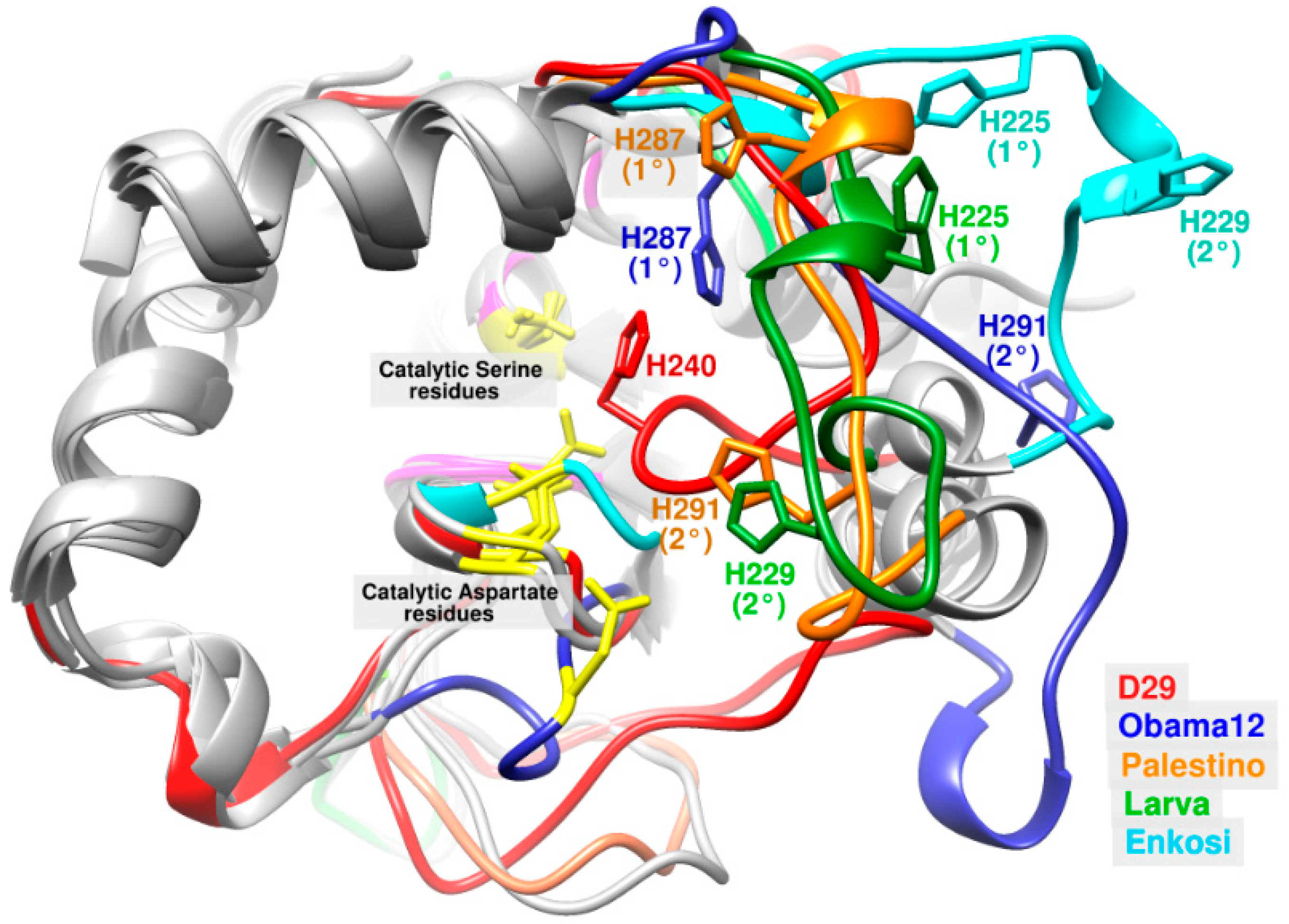 Biomolecules 10 00045 g003 Biomolecules 10 00045 g003