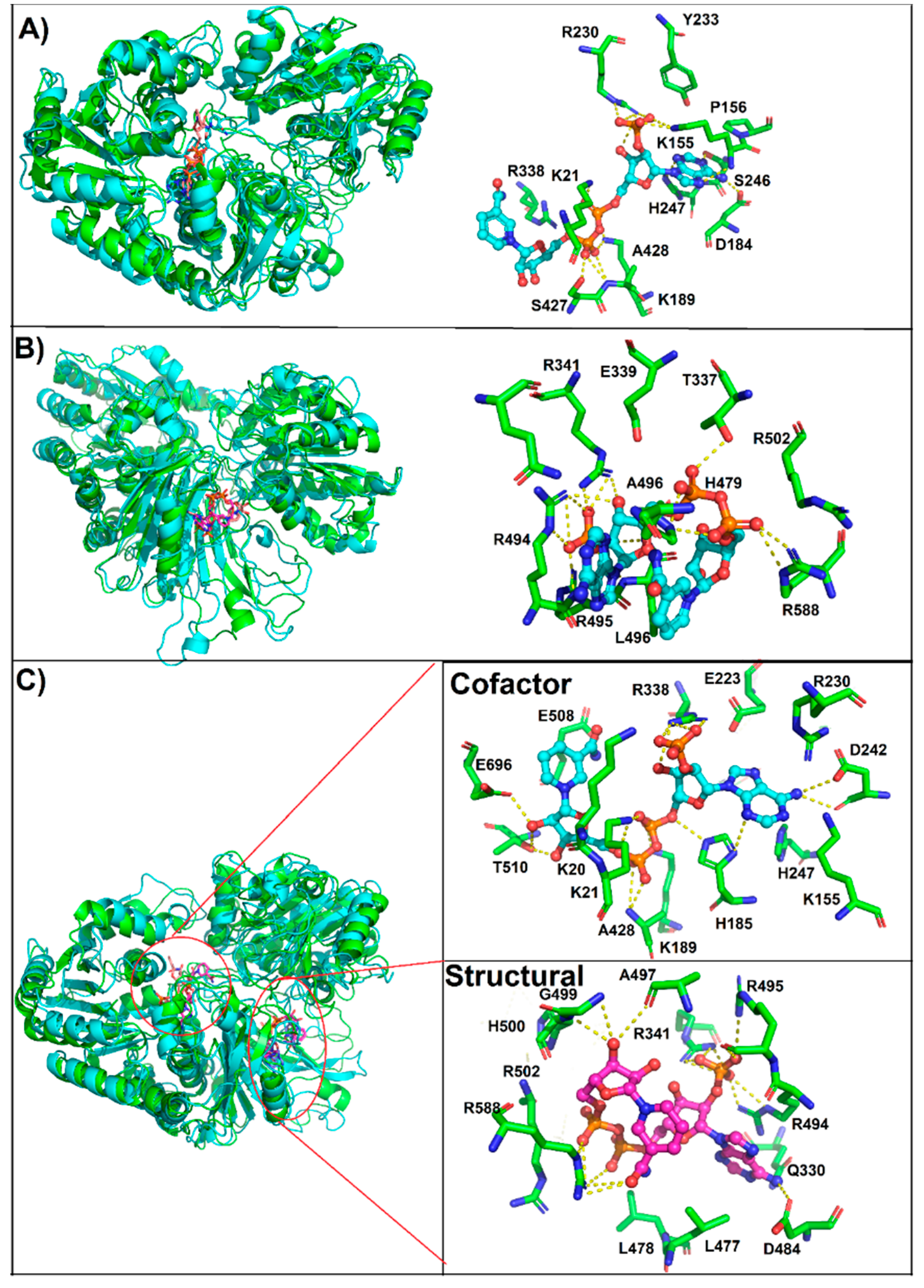 Biomolecules 10 00046 g009 Biomolecules 10 00046 g009