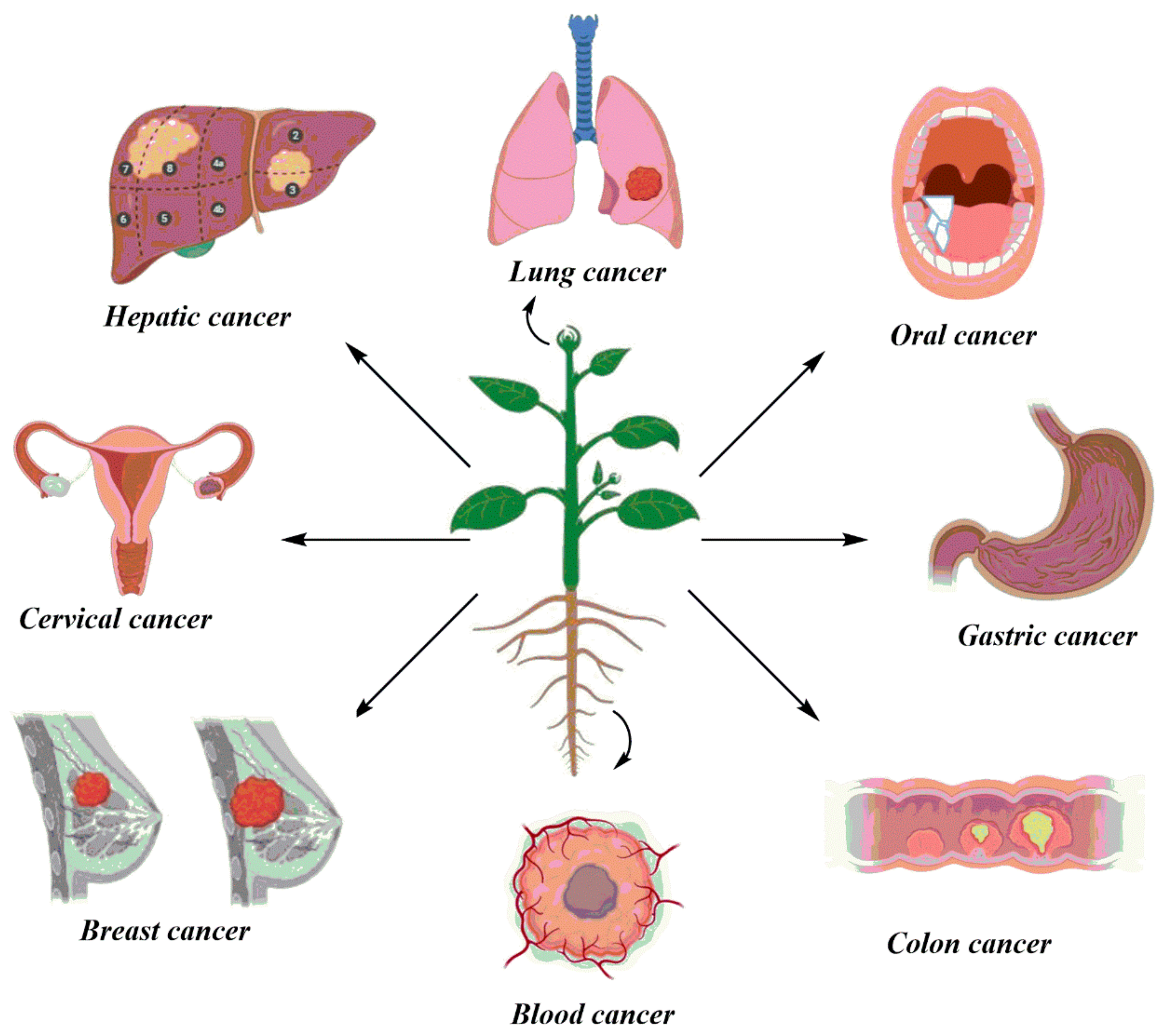 Anti-tumor properties of herbs