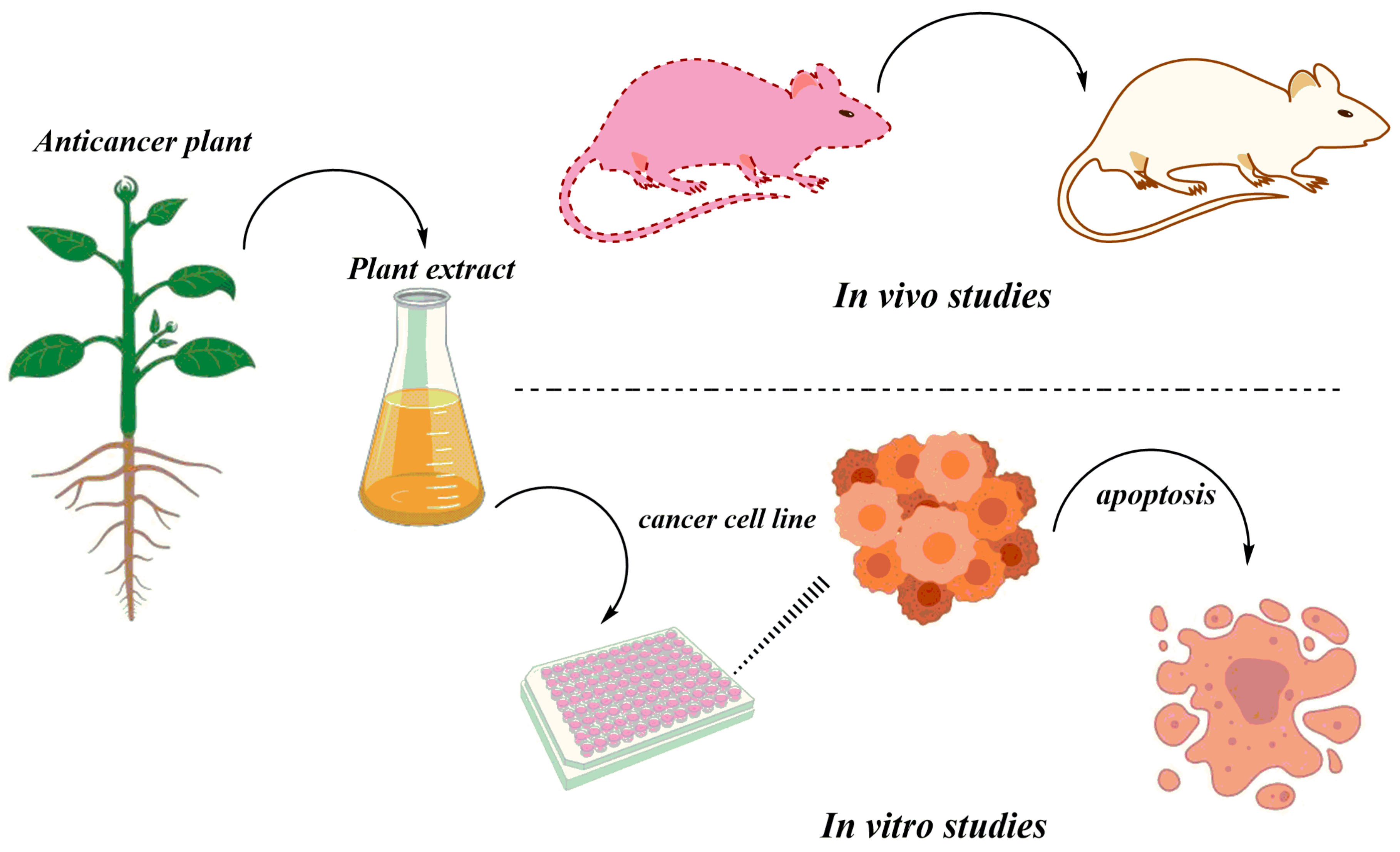 In vitro и in vivo. Культуры клеток in vivo, in vitro иммунология. Методы in vivo. Опыты in vivo. In vivo и in vitro что это такое.