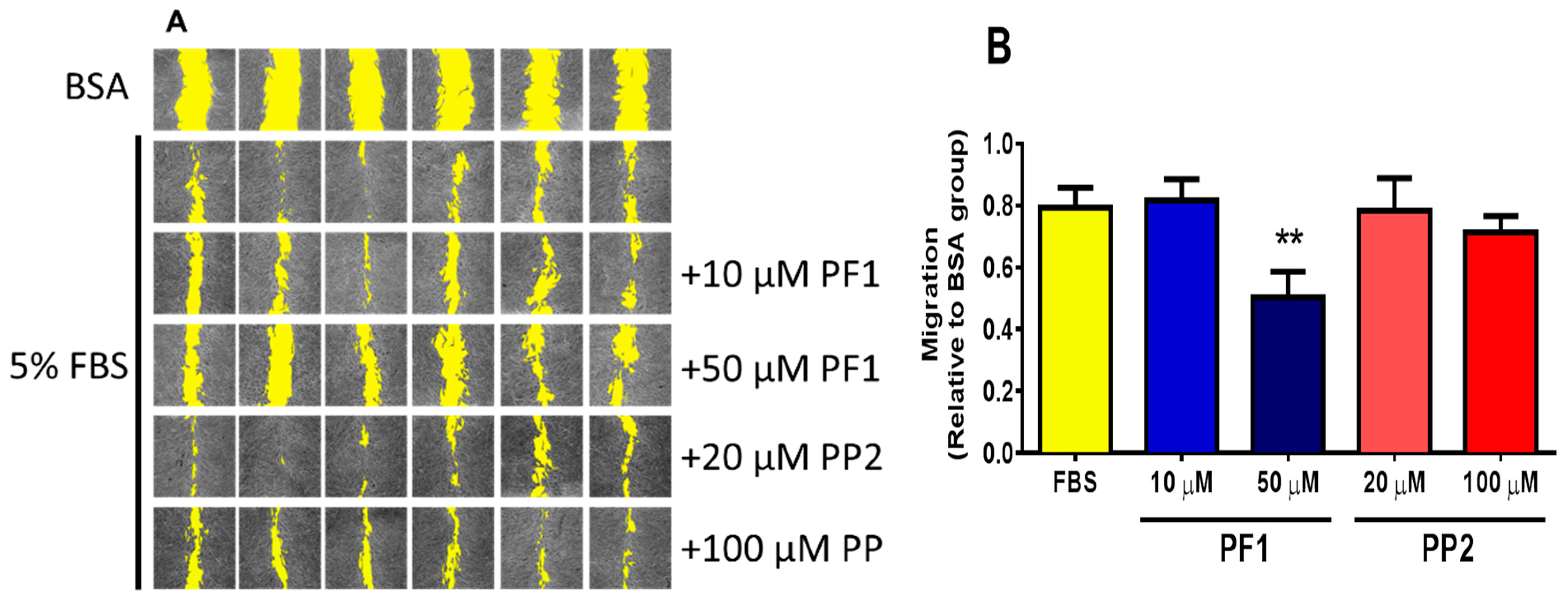 Biomolecules 10 00050 g006