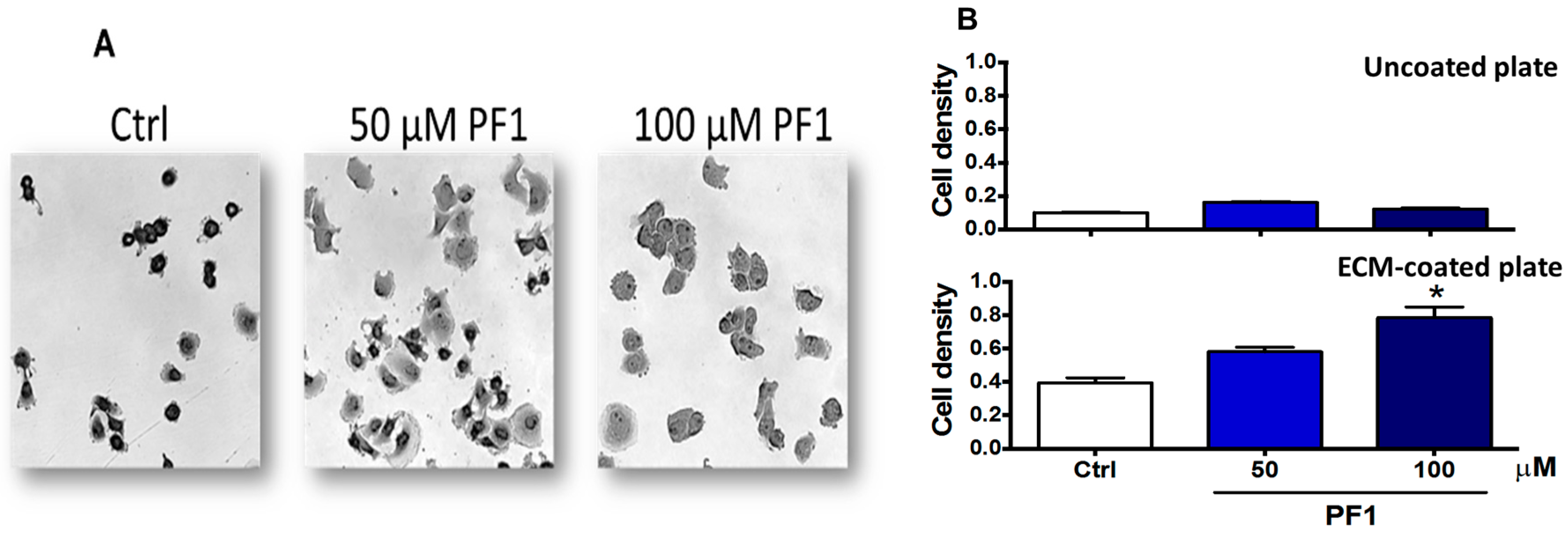 Biomolecules 10 00050 g008