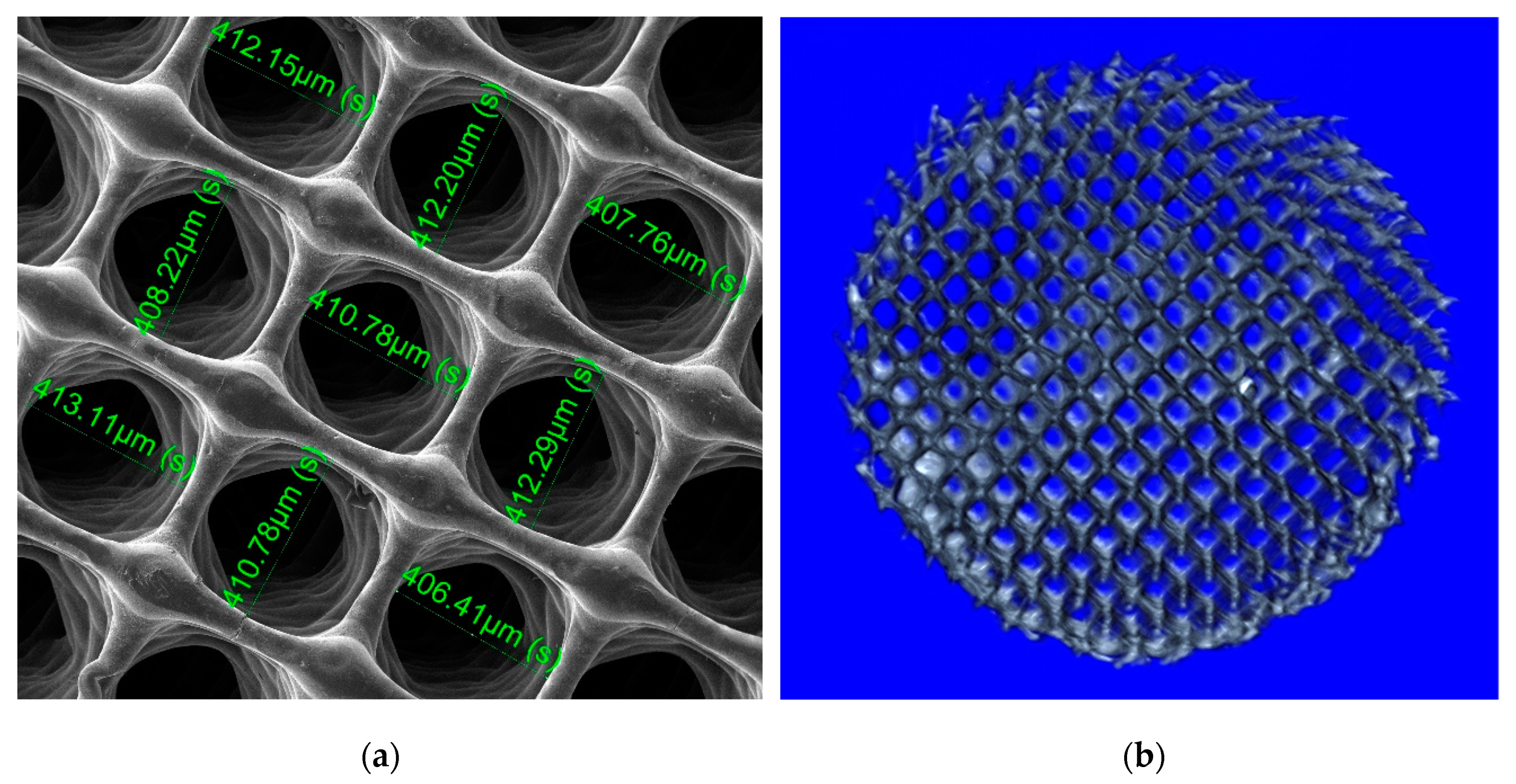 Biomolecules 10 00052 g001