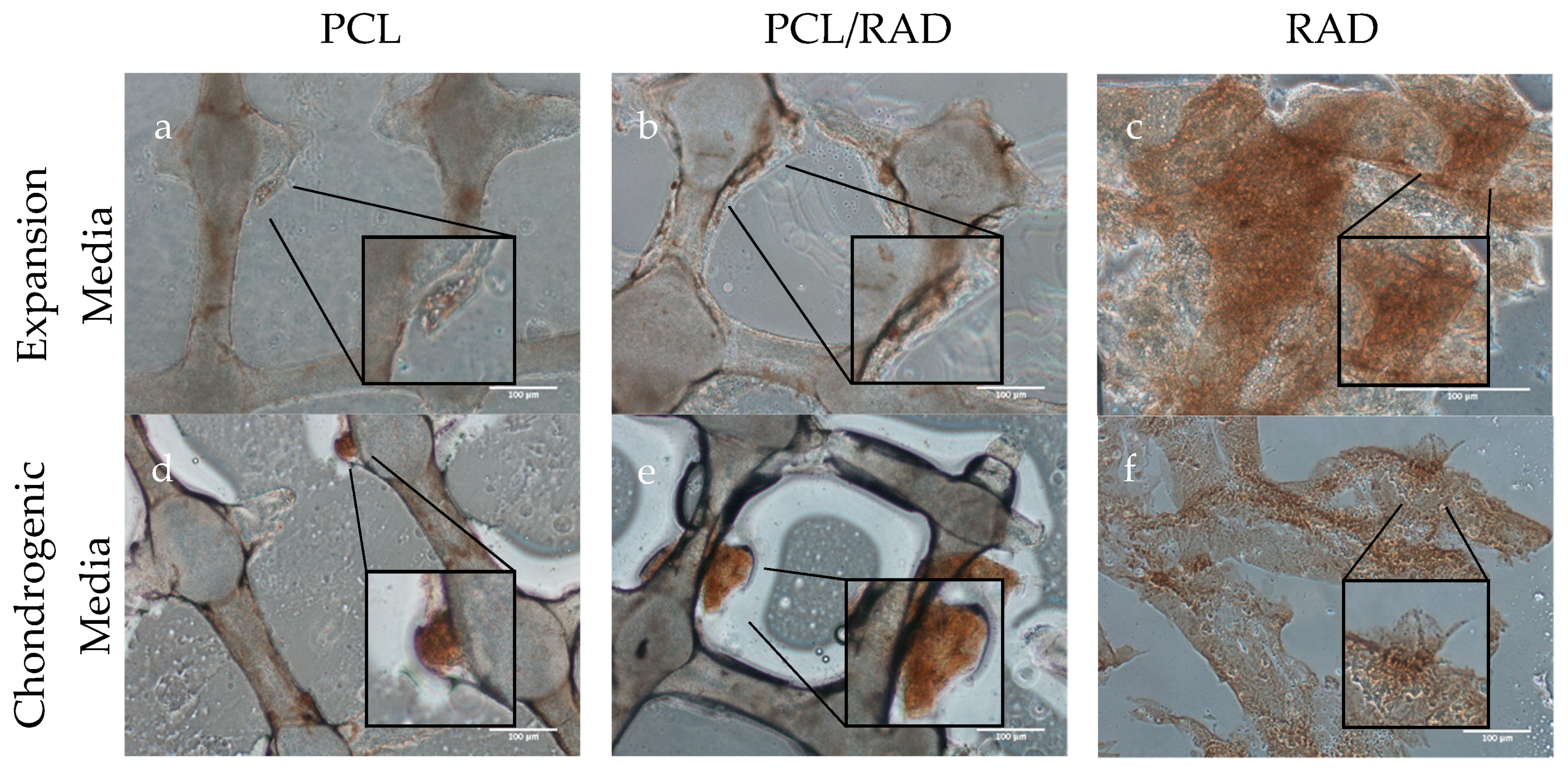 Biomolecules 10 00052 g007